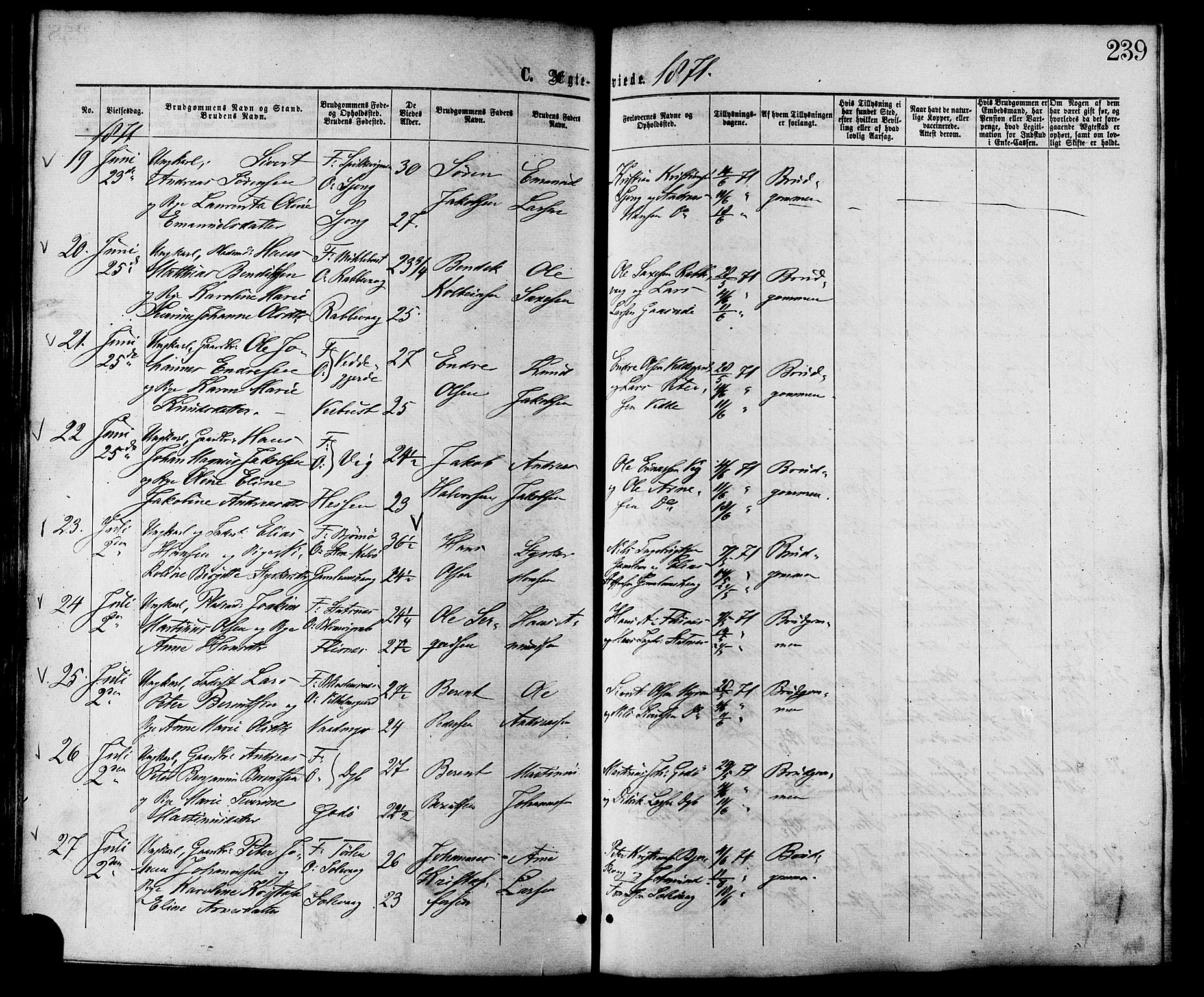 Ministerialprotokoller, klokkerbøker og fødselsregistre - Møre og Romsdal, AV/SAT-A-1454/528/L0399: Ministerialbok nr. 528A10, 1864-1879, s. 239