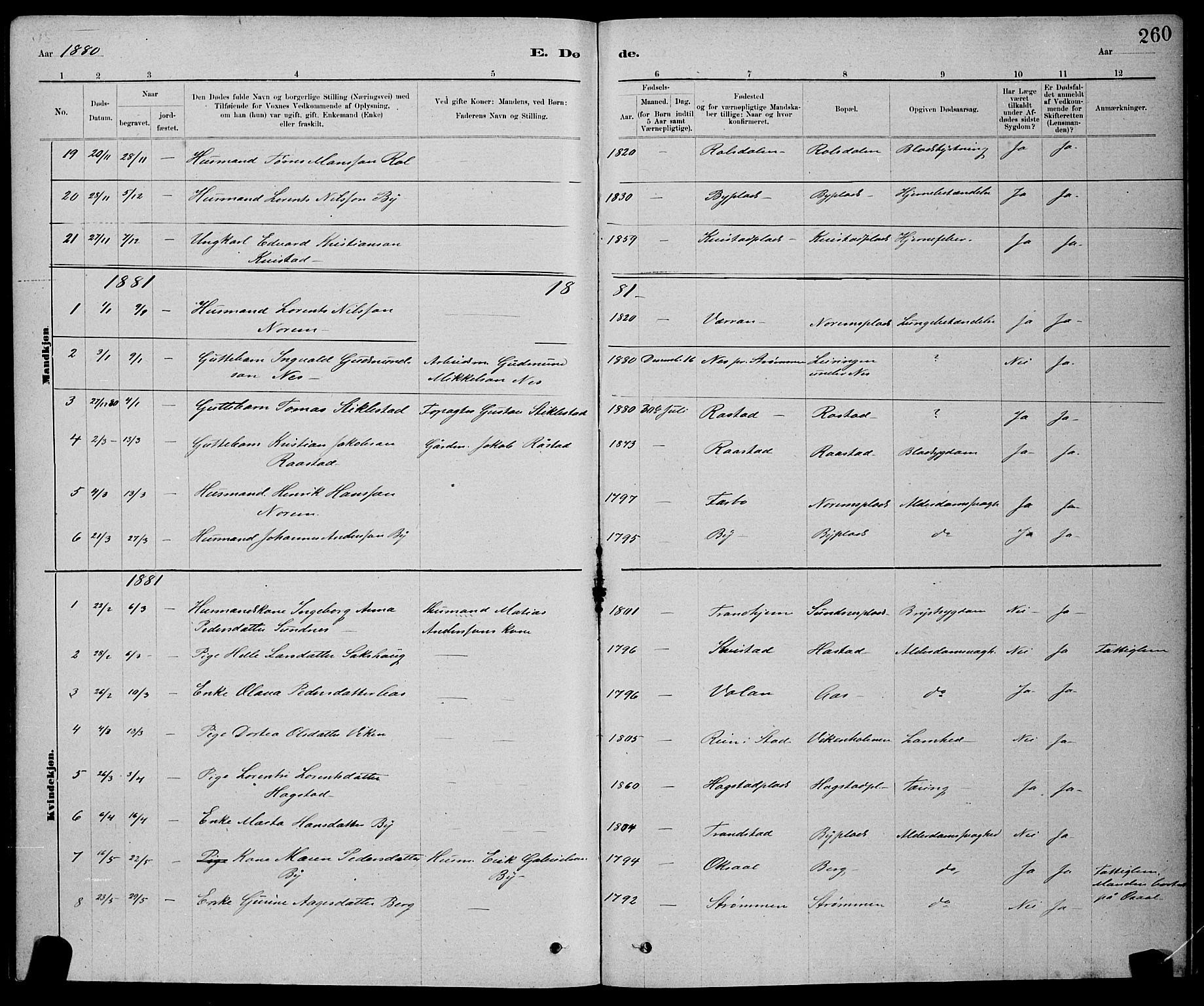 Ministerialprotokoller, klokkerbøker og fødselsregistre - Nord-Trøndelag, SAT/A-1458/730/L0301: Klokkerbok nr. 730C04, 1880-1897, s. 260