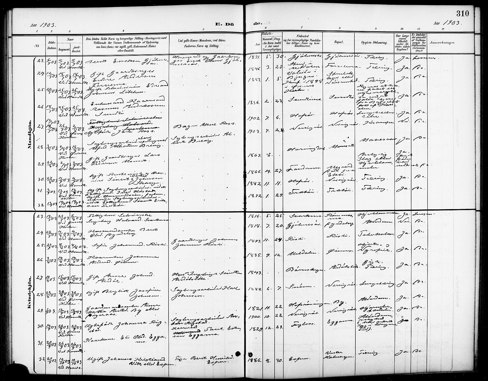 Ministerialprotokoller, klokkerbøker og fødselsregistre - Sør-Trøndelag, SAT/A-1456/668/L0819: Klokkerbok nr. 668C08, 1899-1912, s. 310