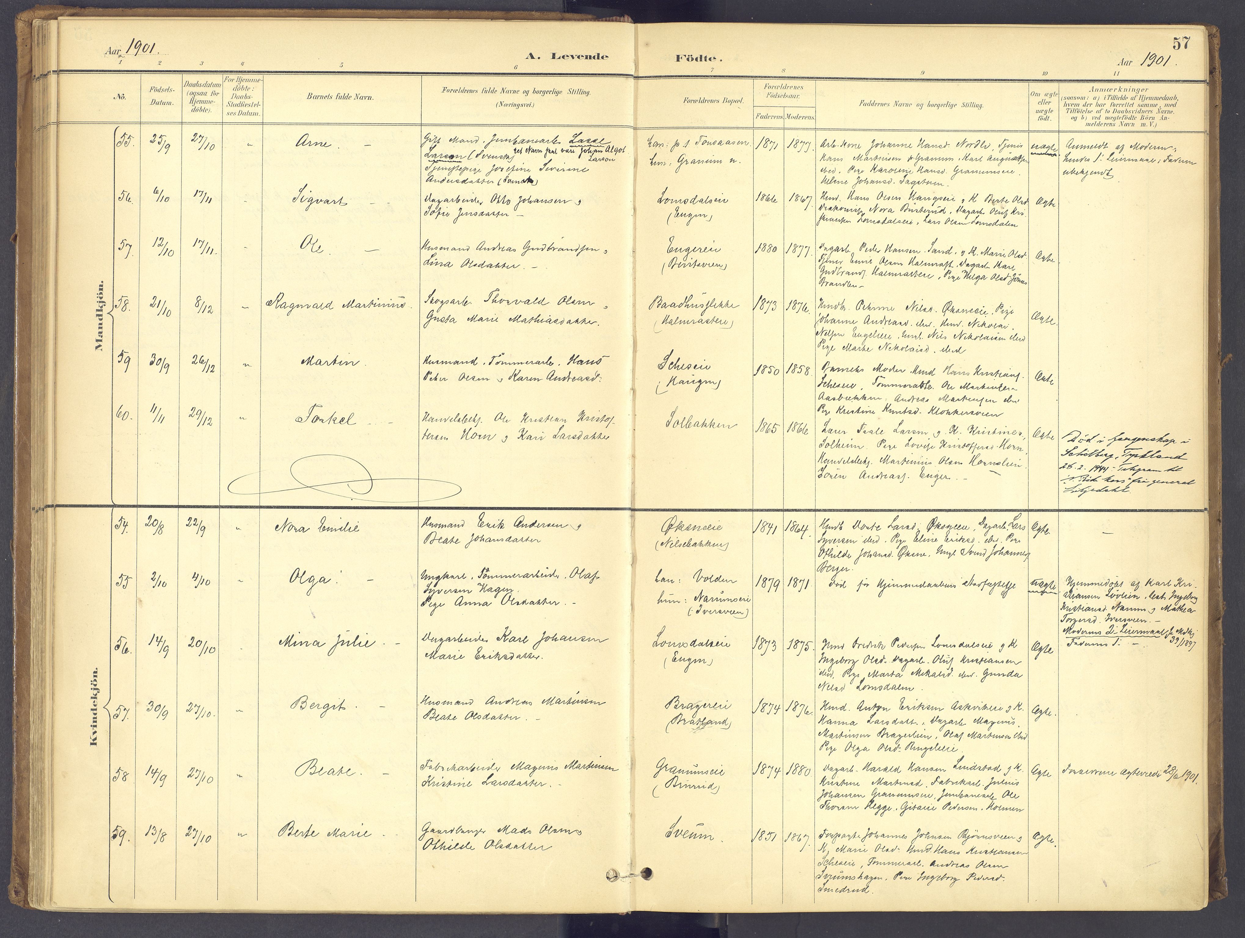 Søndre Land prestekontor, AV/SAH-PREST-122/K/L0006: Ministerialbok nr. 6, 1895-1904, s. 57