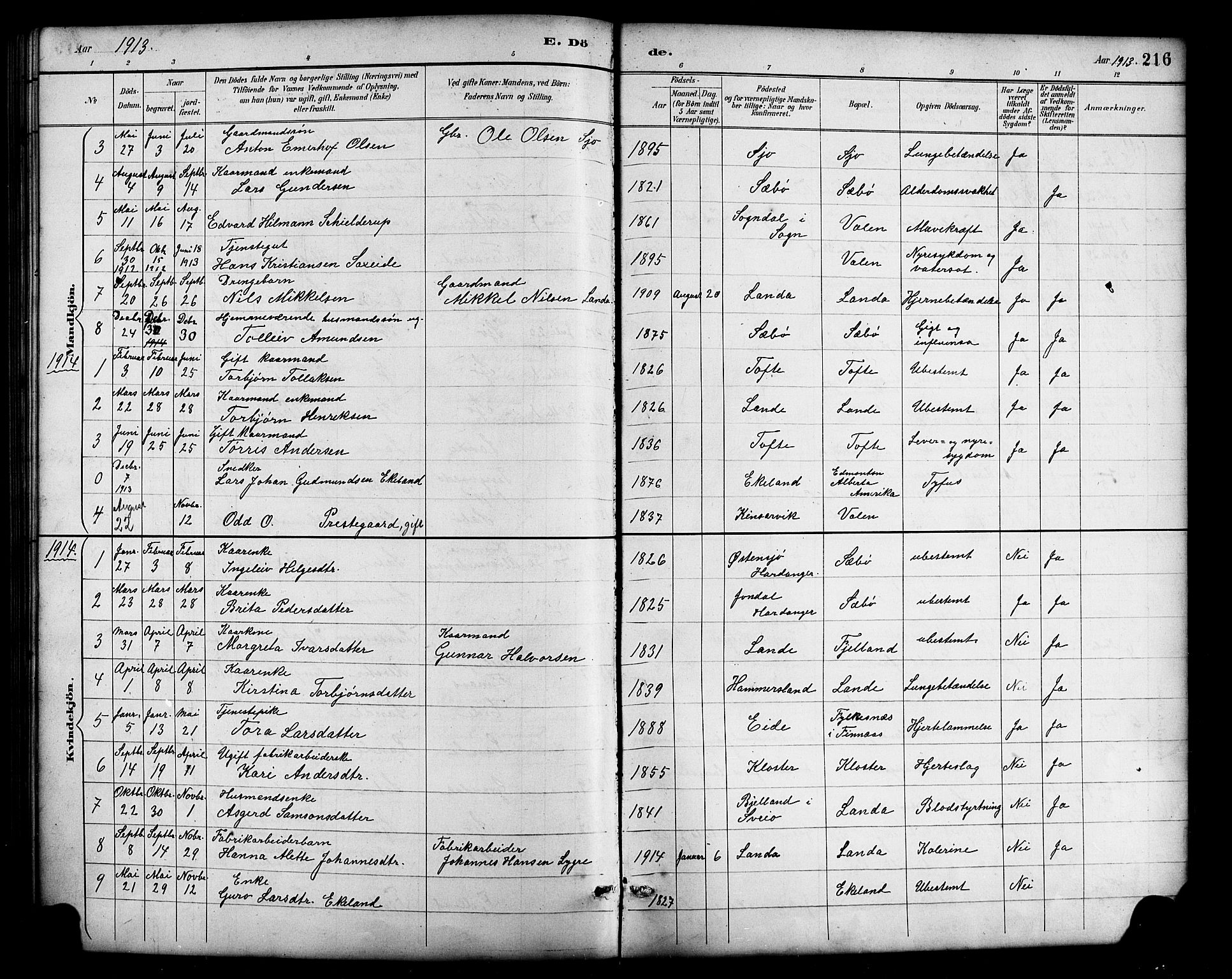 Fjelberg sokneprestembete, AV/SAB-A-75201/H/Hab: Klokkerbok nr. B 4, 1889-1919, s. 216