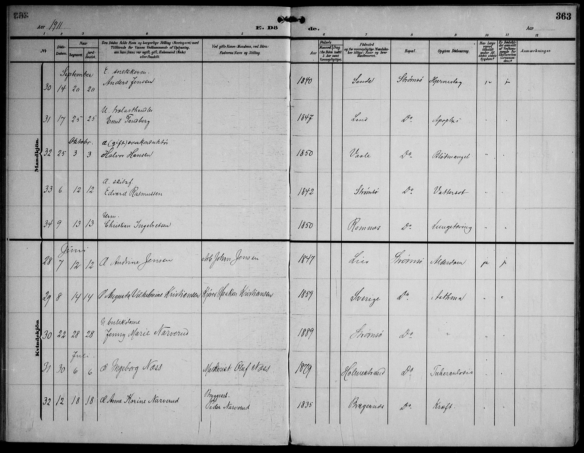 Strømsø kirkebøker, AV/SAKO-A-246/F/Fa/L0026: Ministerialbok nr. I 26, 1905-1914, s. 363