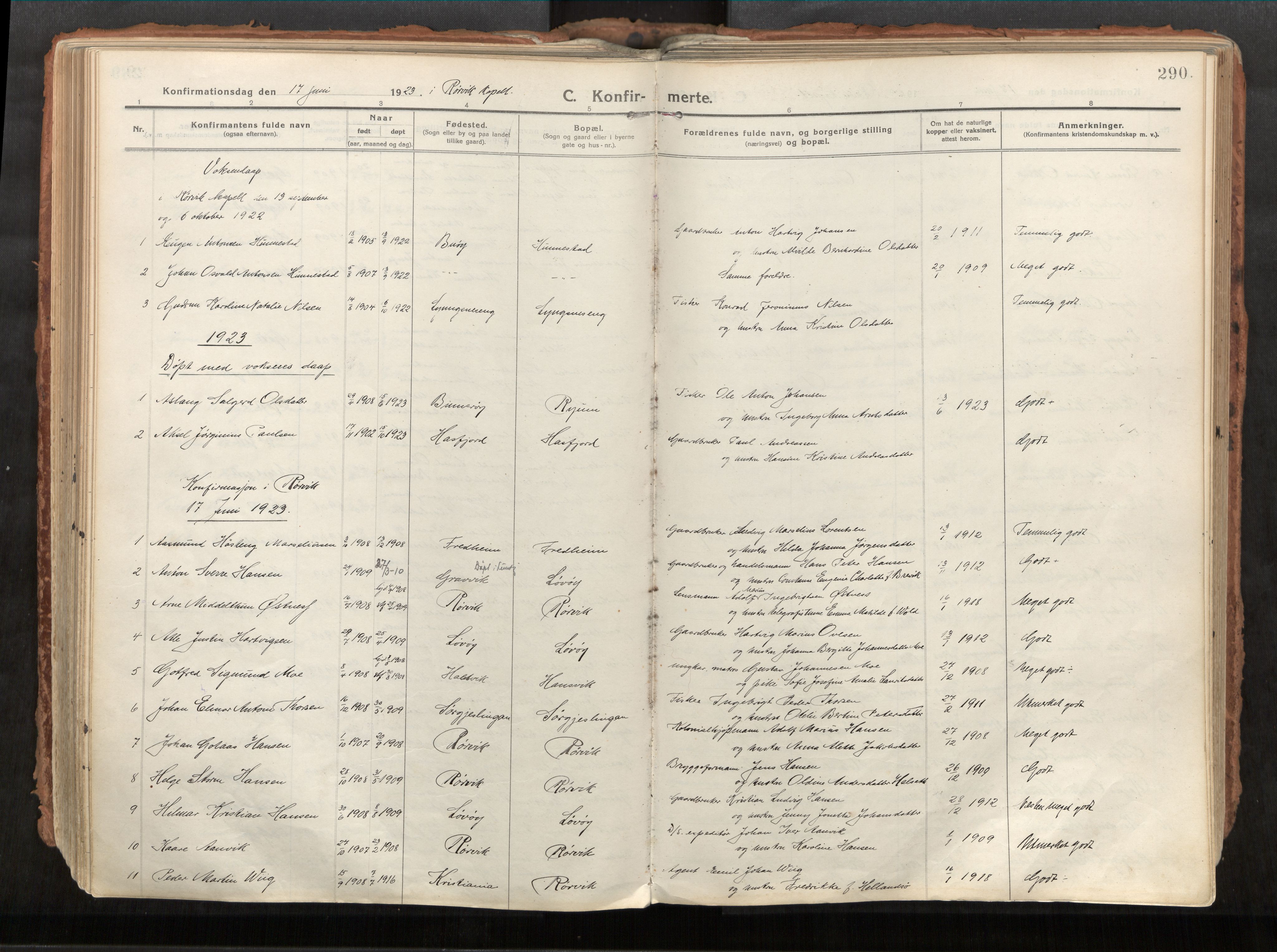 Vikna sokneprestkontor, AV/SAT-A-1173/1/I/I1/I1a/L0001: Ministerialbok nr. 1, 1913-1934, s. 290