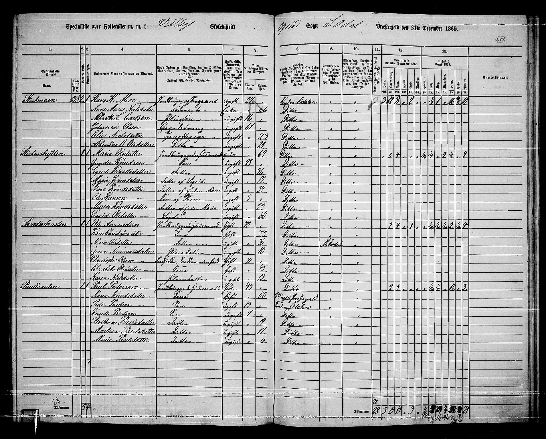 RA, Folketelling 1865 for 0419P Sør-Odal prestegjeld, 1865, s. 261