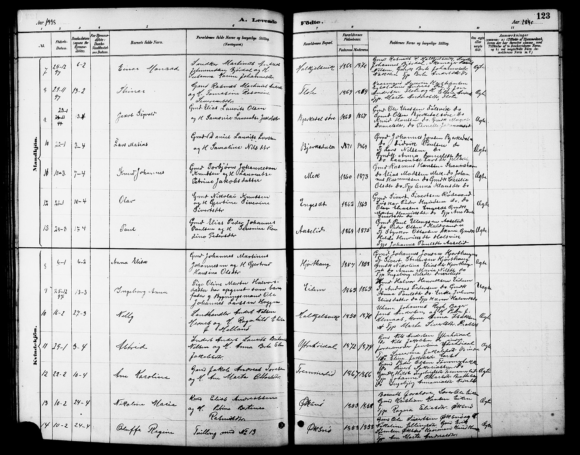 Ministerialprotokoller, klokkerbøker og fødselsregistre - Møre og Romsdal, AV/SAT-A-1454/511/L0158: Klokkerbok nr. 511C04, 1884-1903, s. 123