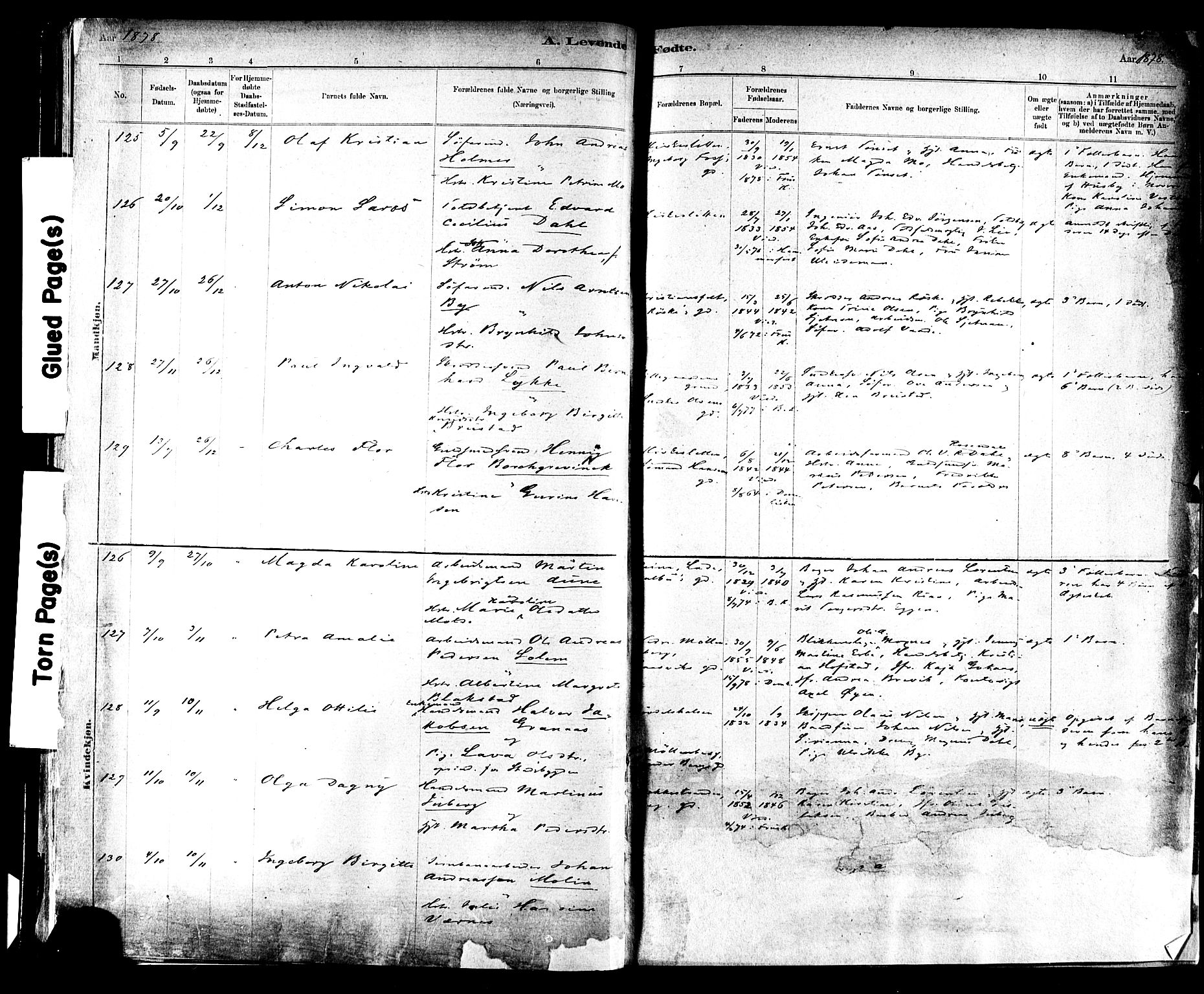 Ministerialprotokoller, klokkerbøker og fødselsregistre - Sør-Trøndelag, SAT/A-1456/604/L0188: Ministerialbok nr. 604A09, 1878-1892, s. 26