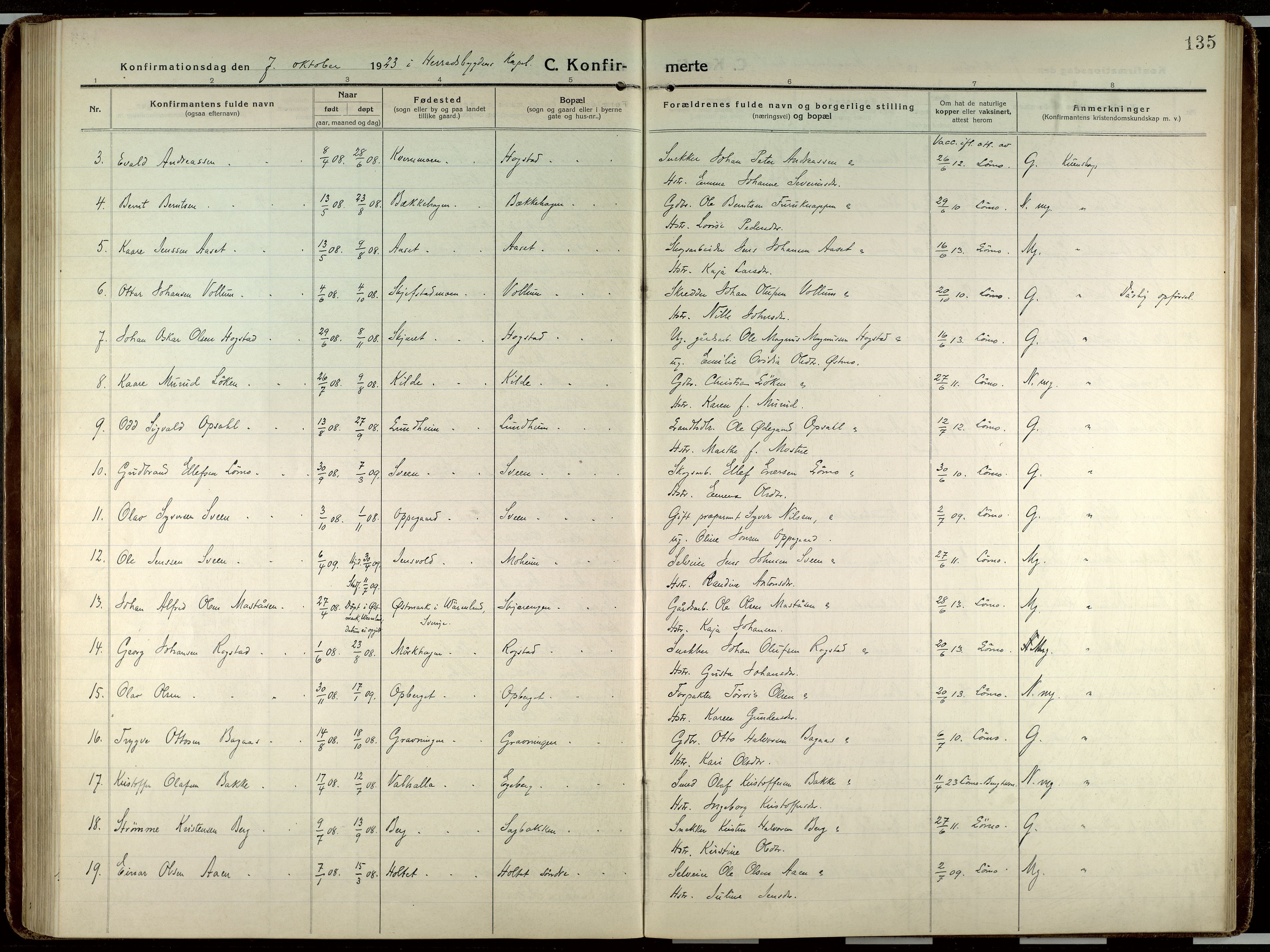 Elverum prestekontor, AV/SAH-PREST-044/H/Ha/Haa/L0023: Ministerialbok nr. 23, 1914-1929, s. 135