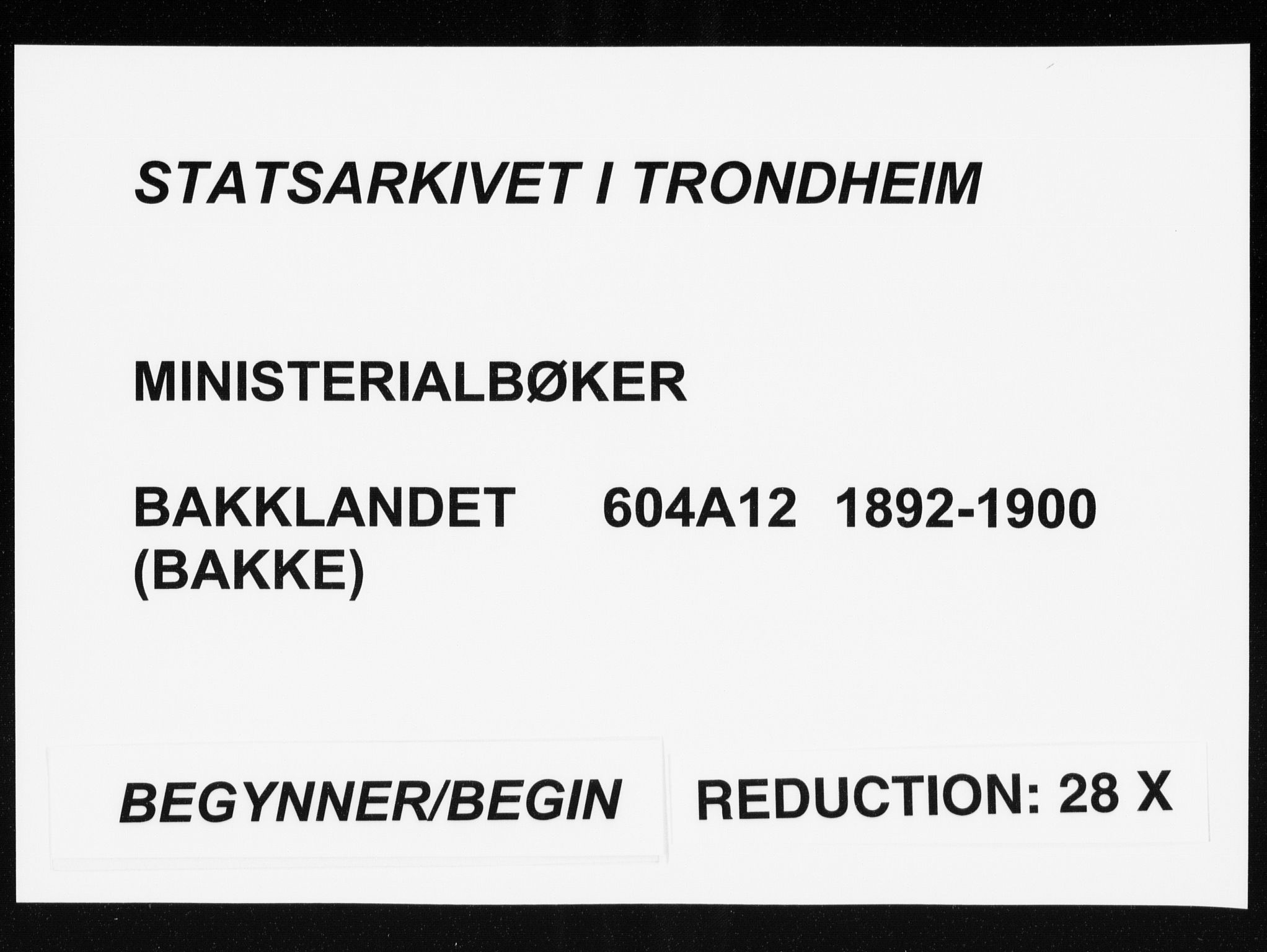 Ministerialprotokoller, klokkerbøker og fødselsregistre - Sør-Trøndelag, SAT/A-1456/604/L0191: Ministerialbok nr. 604A12, 1892-1900