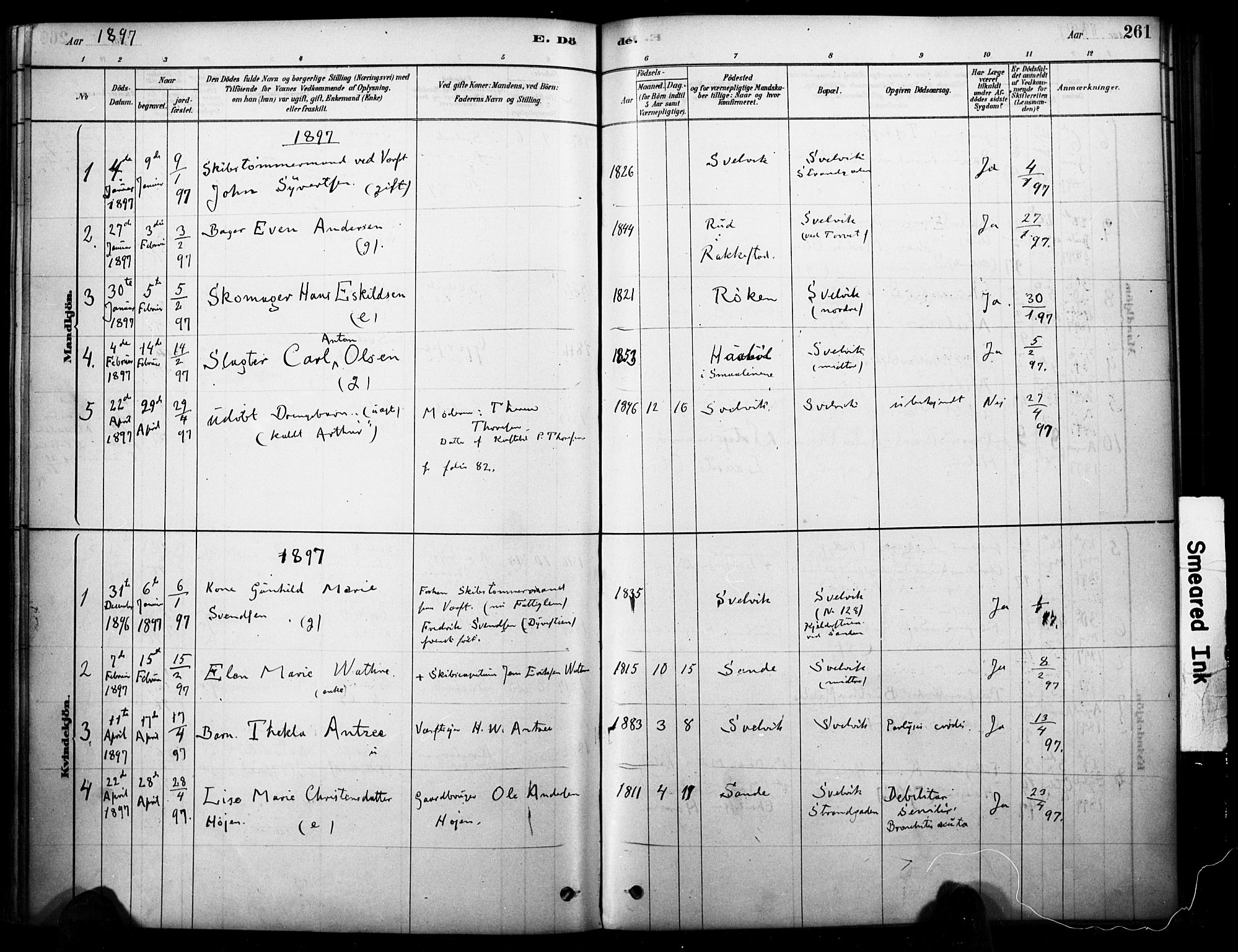 Strømm kirkebøker, AV/SAKO-A-322/F/Fb/L0001: Ministerialbok nr. II 1, 1878-1899, s. 261