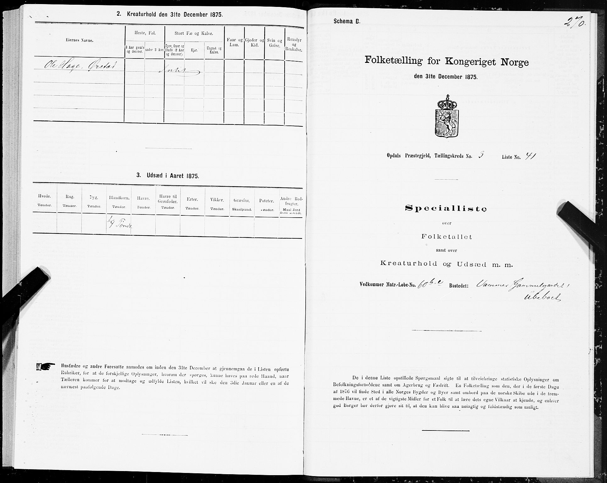 SAT, Folketelling 1875 for 1634P Oppdal prestegjeld, 1875, s. 2270