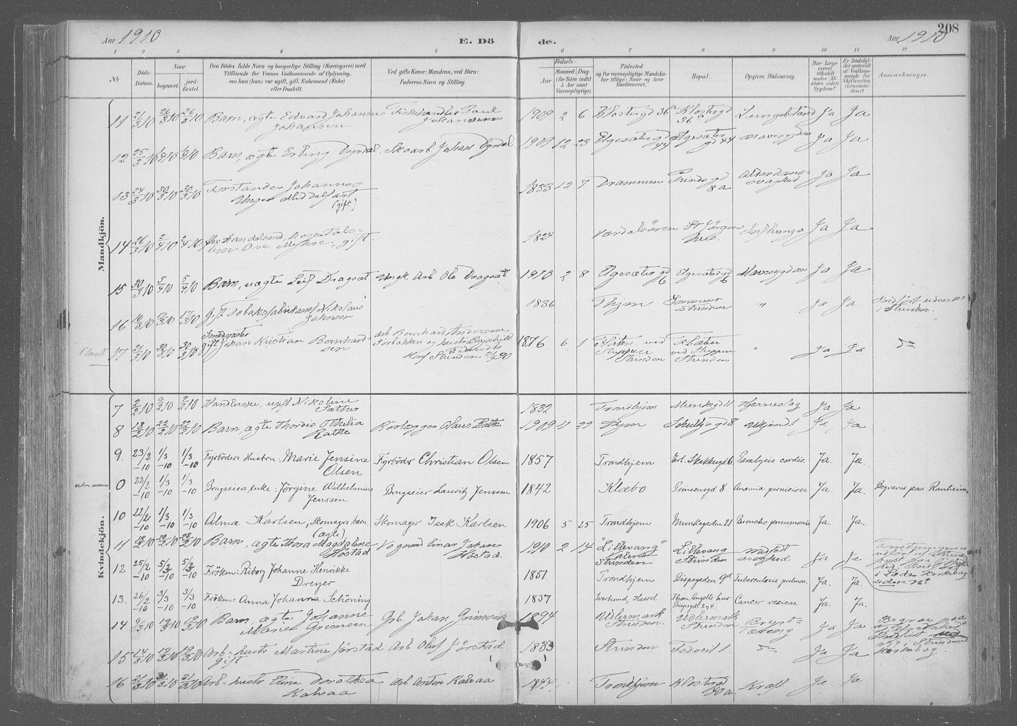 Ministerialprotokoller, klokkerbøker og fødselsregistre - Sør-Trøndelag, SAT/A-1456/601/L0064: Ministerialbok nr. 601A31, 1891-1911, s. 208
