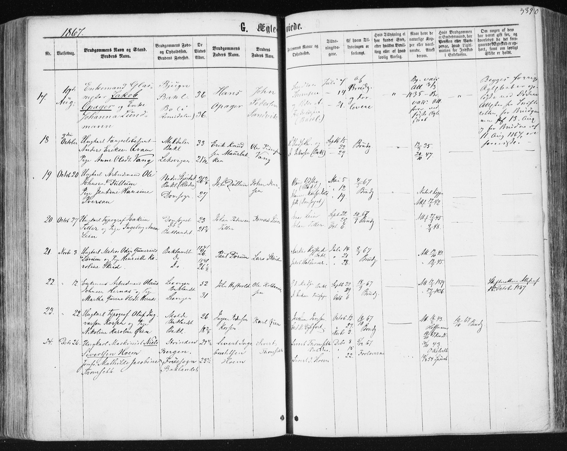 Ministerialprotokoller, klokkerbøker og fødselsregistre - Sør-Trøndelag, SAT/A-1456/604/L0186: Ministerialbok nr. 604A07, 1866-1877, s. 339