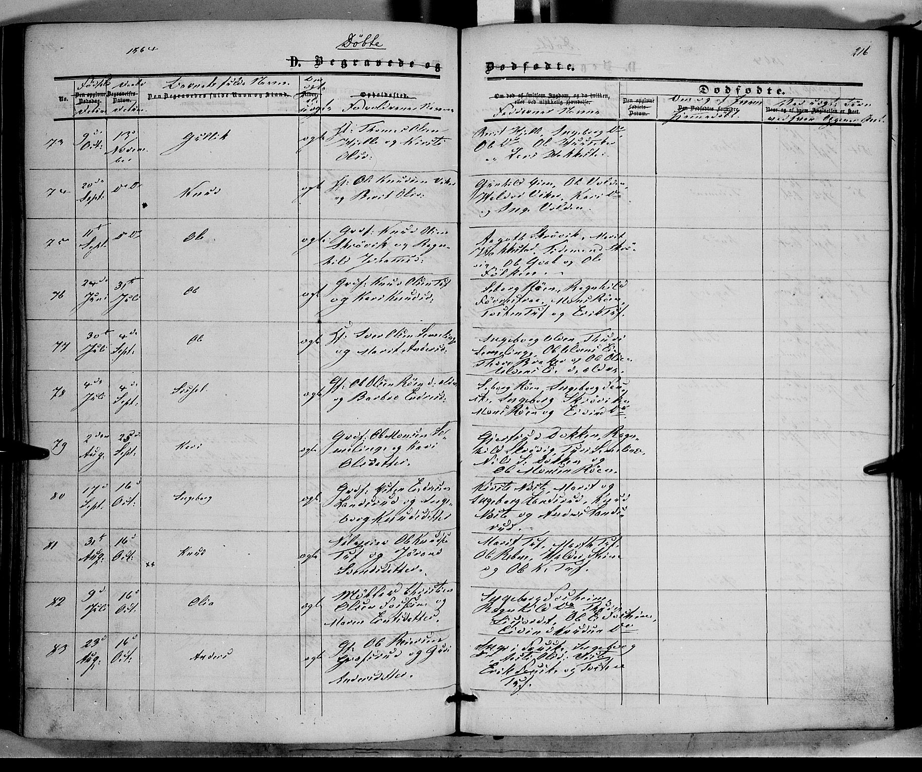 Vestre Slidre prestekontor, AV/SAH-PREST-136/H/Ha/Haa/L0002: Ministerialbok nr. 2, 1856-1864, s. 216