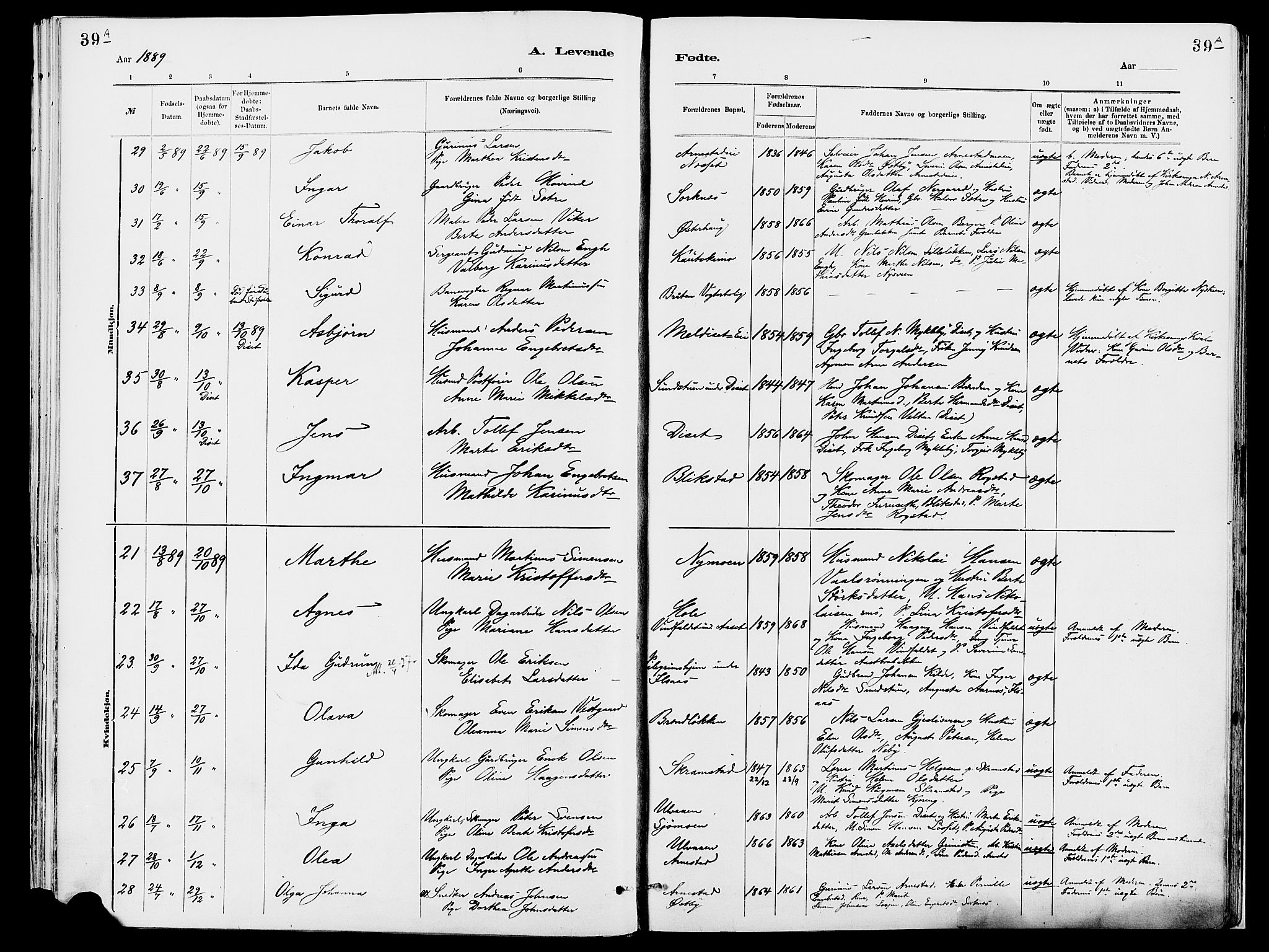 Åmot prestekontor, Hedmark, AV/SAH-PREST-056/H/Ha/Haa/L0010: Ministerialbok nr. 10, 1884-1889, s. 39