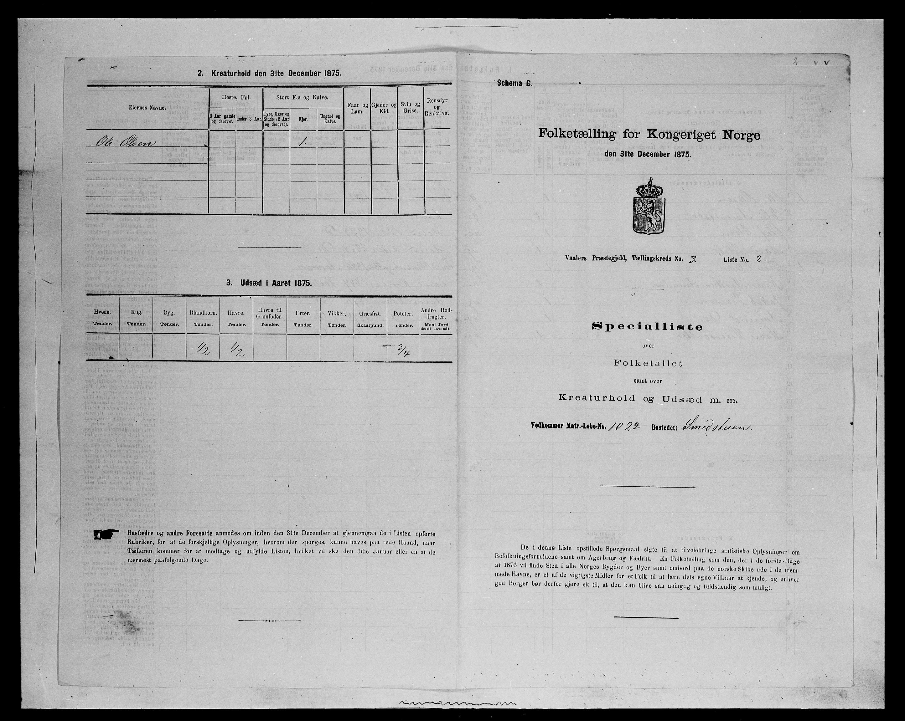 SAH, Folketelling 1875 for 0426P Våler prestegjeld (Hedmark), 1875, s. 396