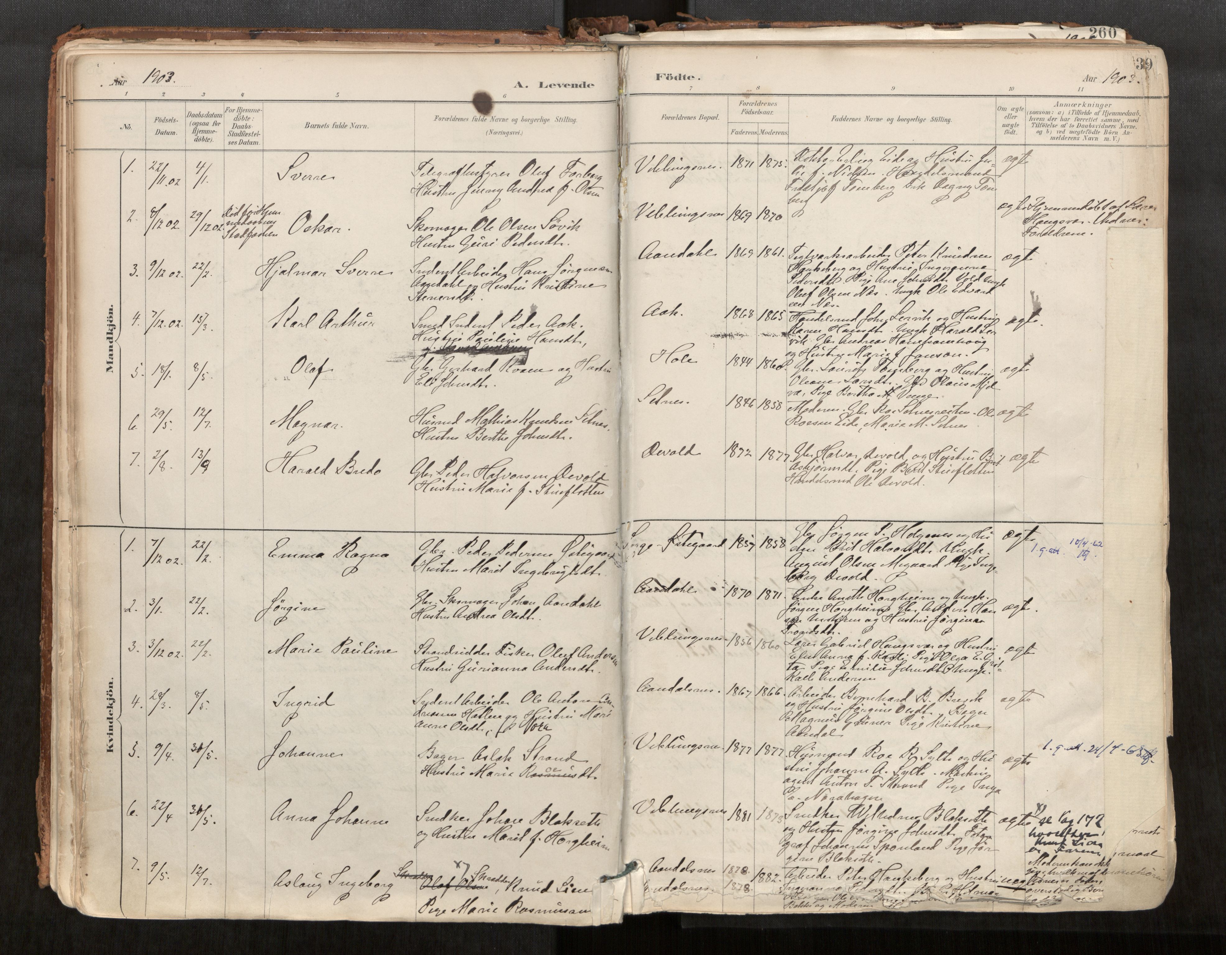 Ministerialprotokoller, klokkerbøker og fødselsregistre - Møre og Romsdal, AV/SAT-A-1454/544/L0585: Ministerialbok nr. 544A06, 1887-1924, s. 39