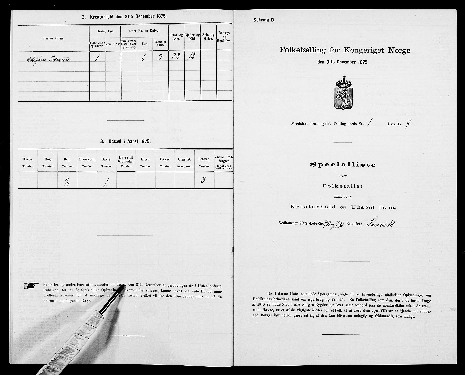 SAK, Folketelling 1875 for 1046P Sirdal prestegjeld, 1875, s. 54