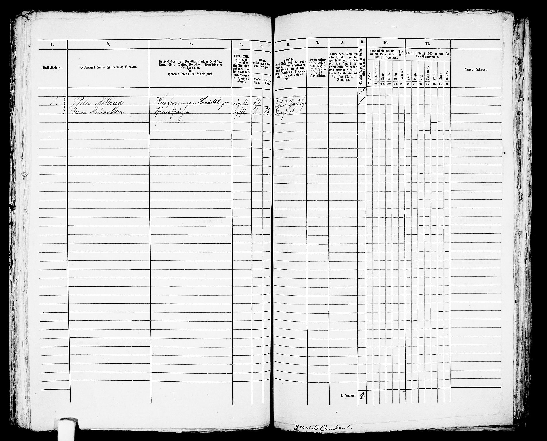 RA, Folketelling 1865 for 1004B Flekkefjord prestegjeld, Flekkefjord kjøpstad, 1865, s. 373