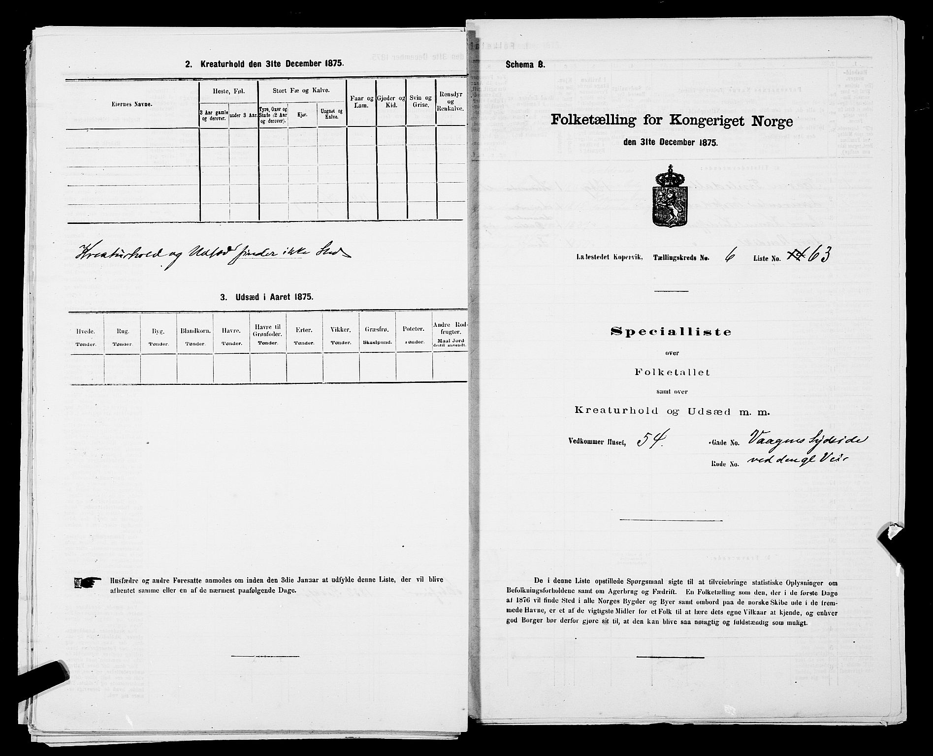 SAST, Folketelling 1875 for 1105B Avaldsnes prestegjeld, Kopervik ladested, 1875, s. 124