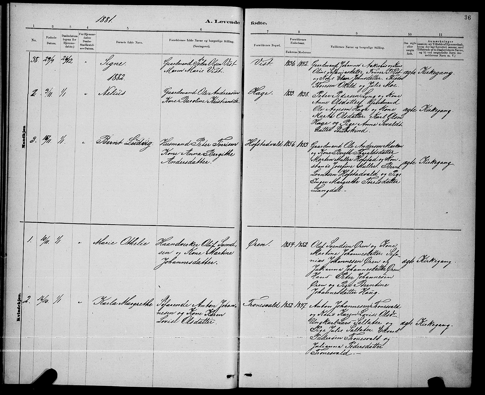 Ministerialprotokoller, klokkerbøker og fødselsregistre - Nord-Trøndelag, SAT/A-1458/723/L0256: Klokkerbok nr. 723C04, 1879-1890, s. 36