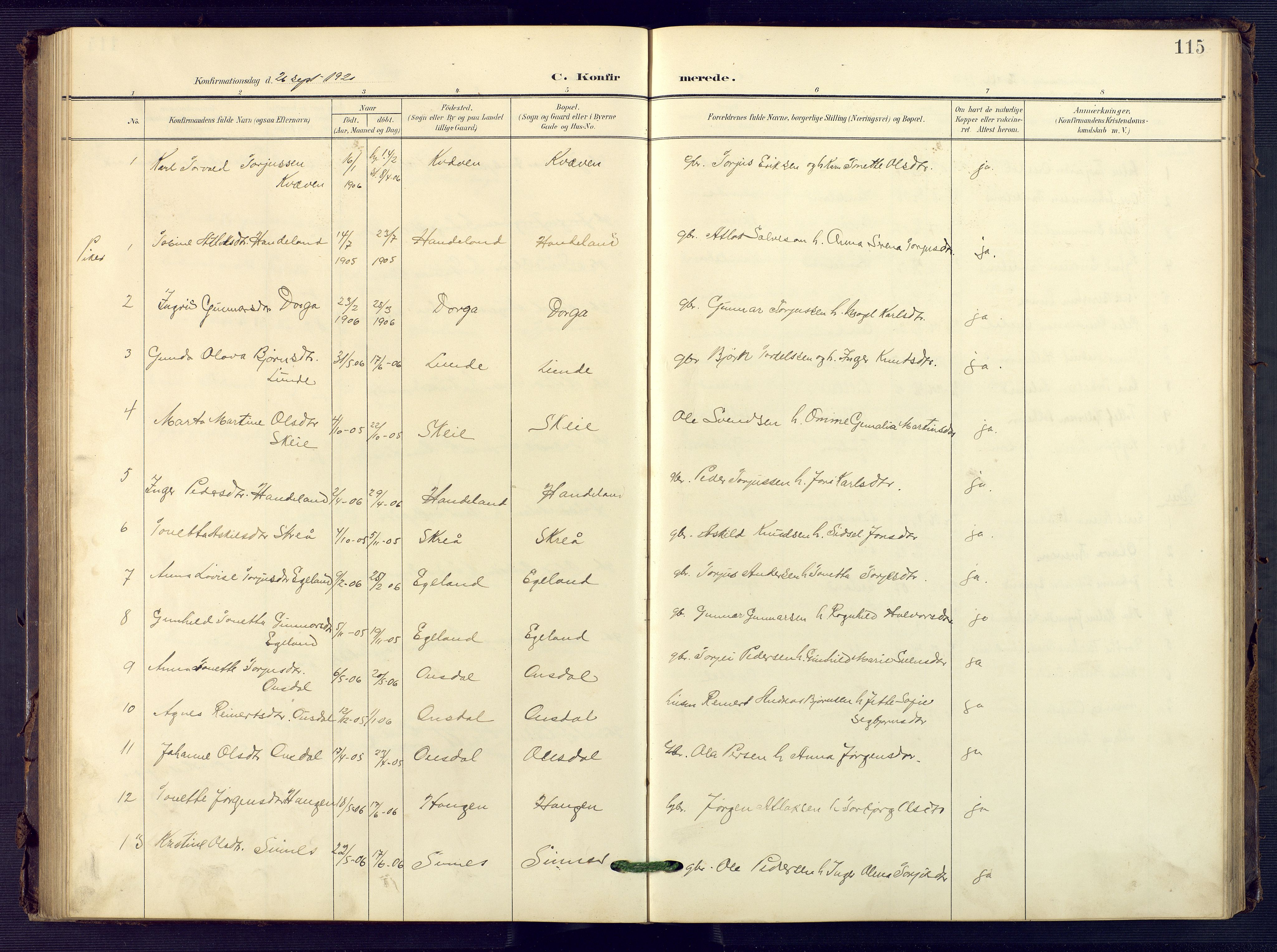 Sirdal sokneprestkontor, AV/SAK-1111-0036/F/Fb/Fba/L0002: Klokkerbok nr. B 2, 1905-1958, s. 115