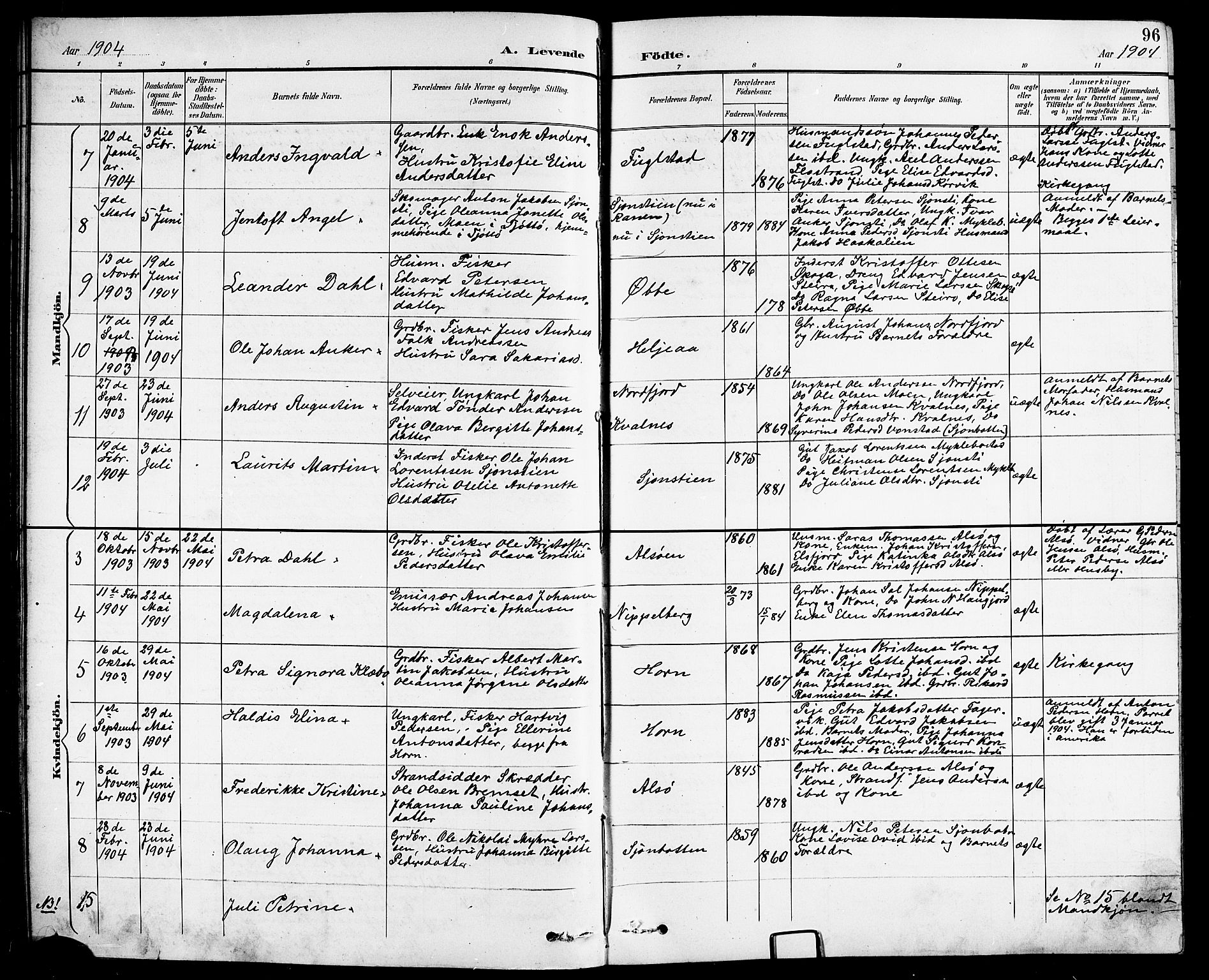 Ministerialprotokoller, klokkerbøker og fødselsregistre - Nordland, AV/SAT-A-1459/838/L0559: Klokkerbok nr. 838C06, 1893-1910, s. 96