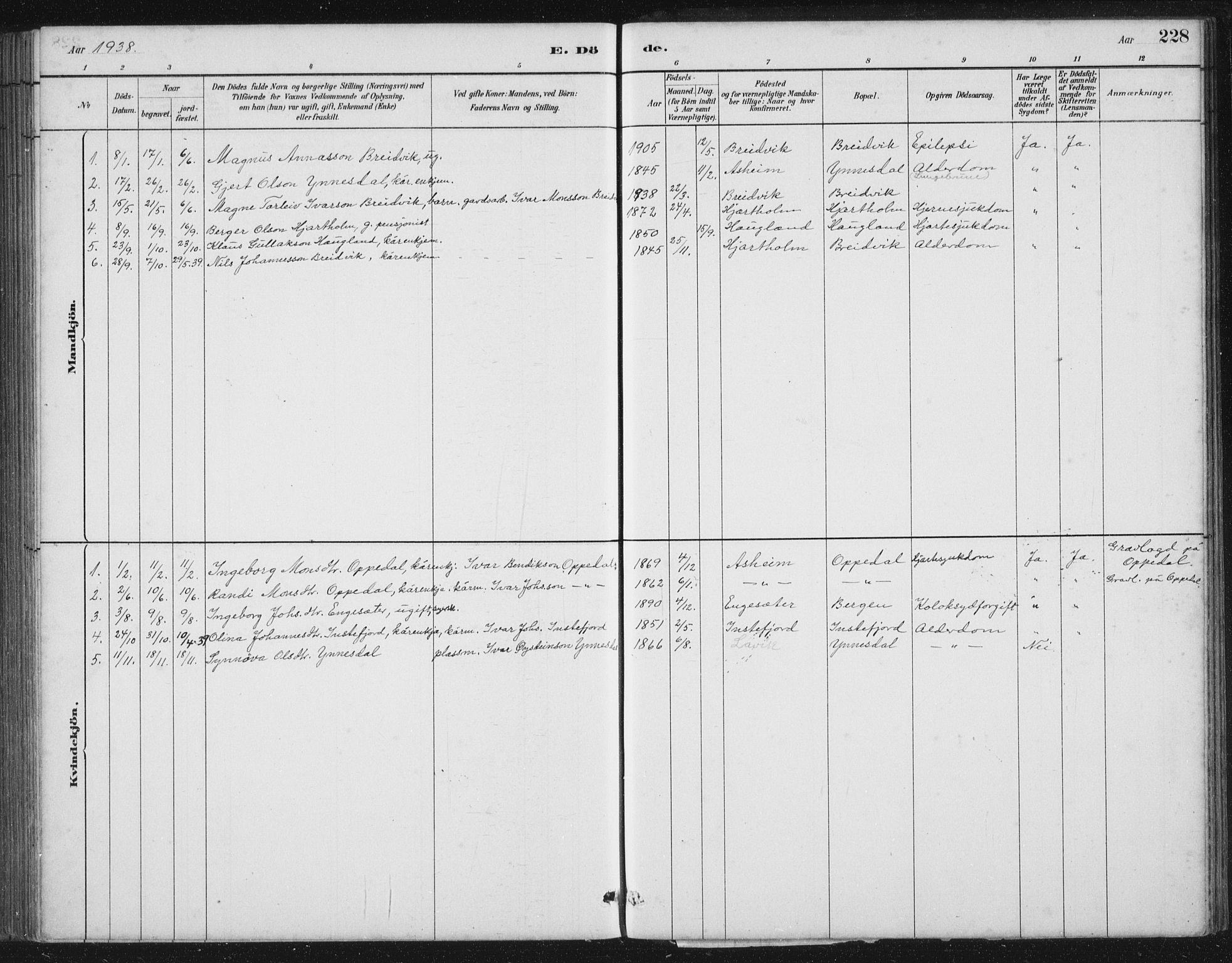 Gulen sokneprestembete, SAB/A-80201/H/Hab/Habc/L0002: Klokkerbok nr. C 2, 1880-1938, s. 228