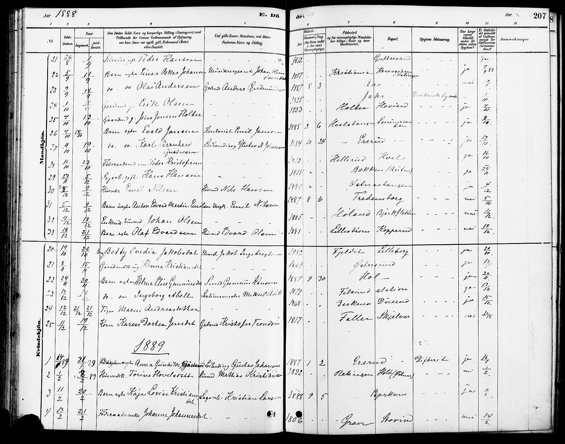 Fet prestekontor Kirkebøker, SAO/A-10370a/F/Fa/L0014: Ministerialbok nr. I 14, 1878-1891, s. 207