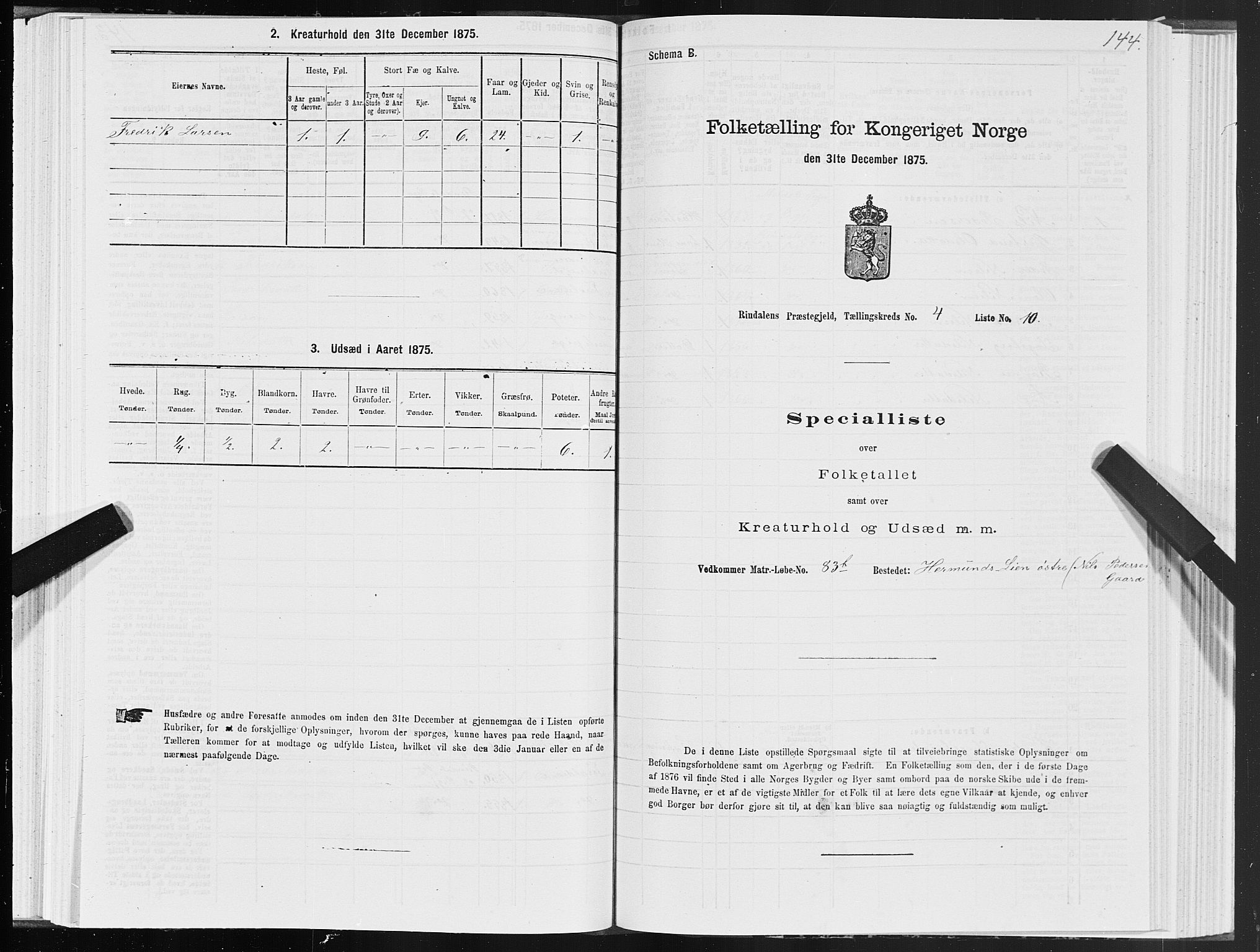 SAT, Folketelling 1875 for 1567P Rindal prestegjeld, 1875, s. 2144