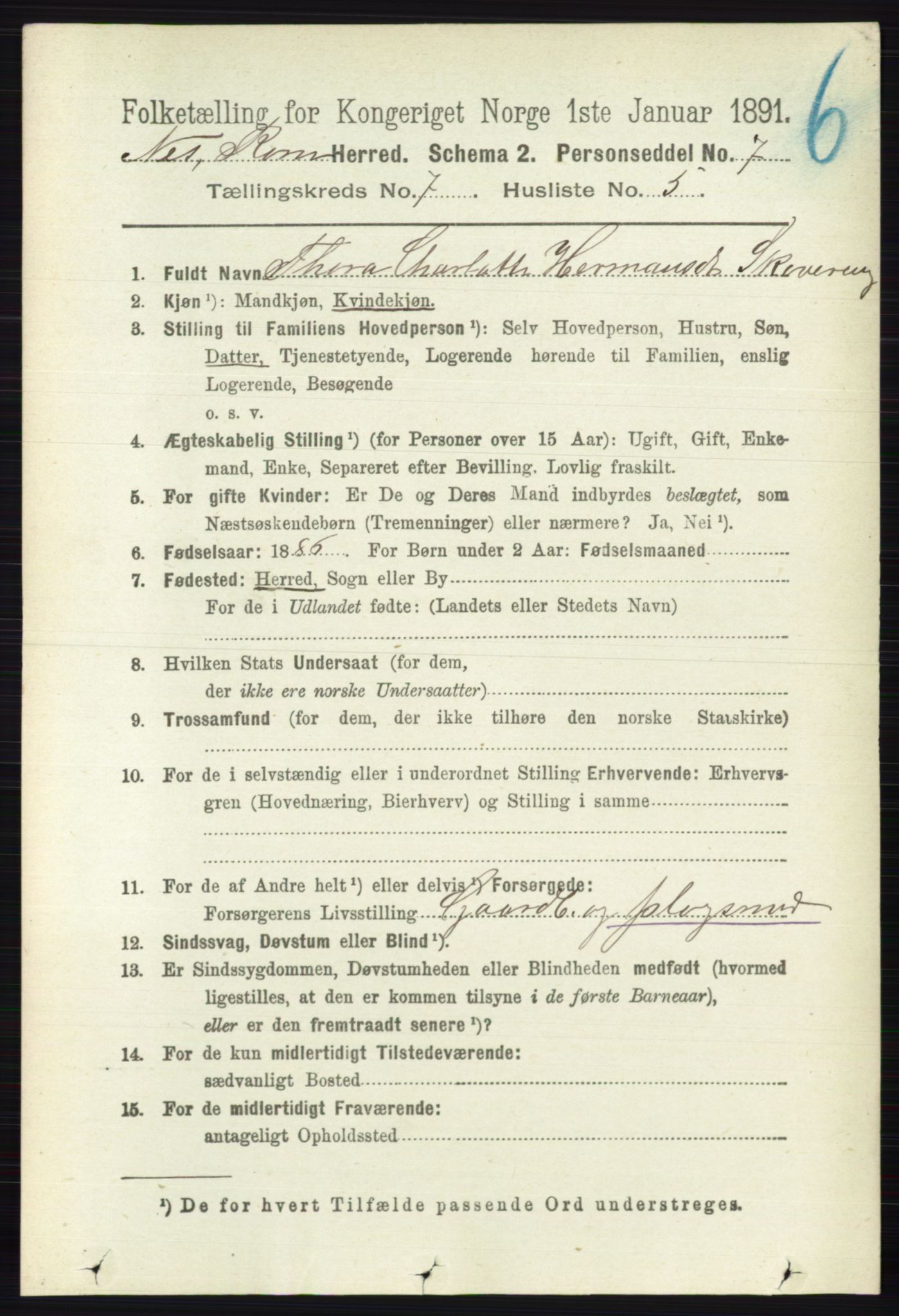 RA, Folketelling 1891 for 0236 Nes herred, 1891, s. 4055