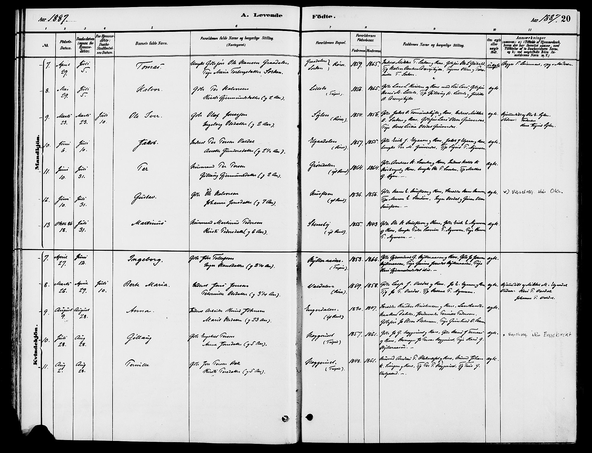 Engerdal prestekontor, AV/SAH-PREST-048/H/Ha/Haa/L0001: Ministerialbok nr. 1, 1881-1898, s. 20