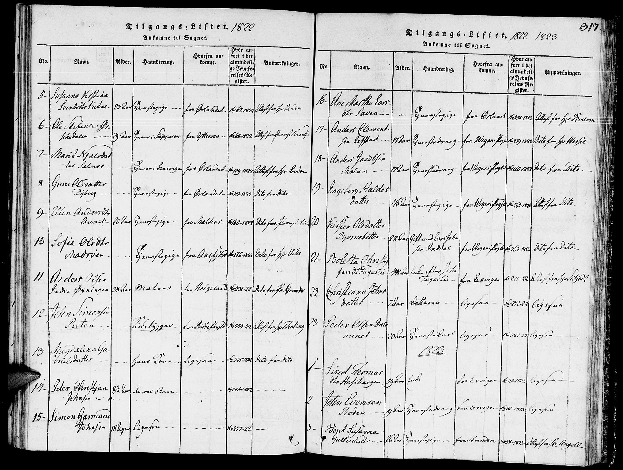 Ministerialprotokoller, klokkerbøker og fødselsregistre - Sør-Trøndelag, AV/SAT-A-1456/646/L0608: Ministerialbok nr. 646A06, 1816-1825, s. 317