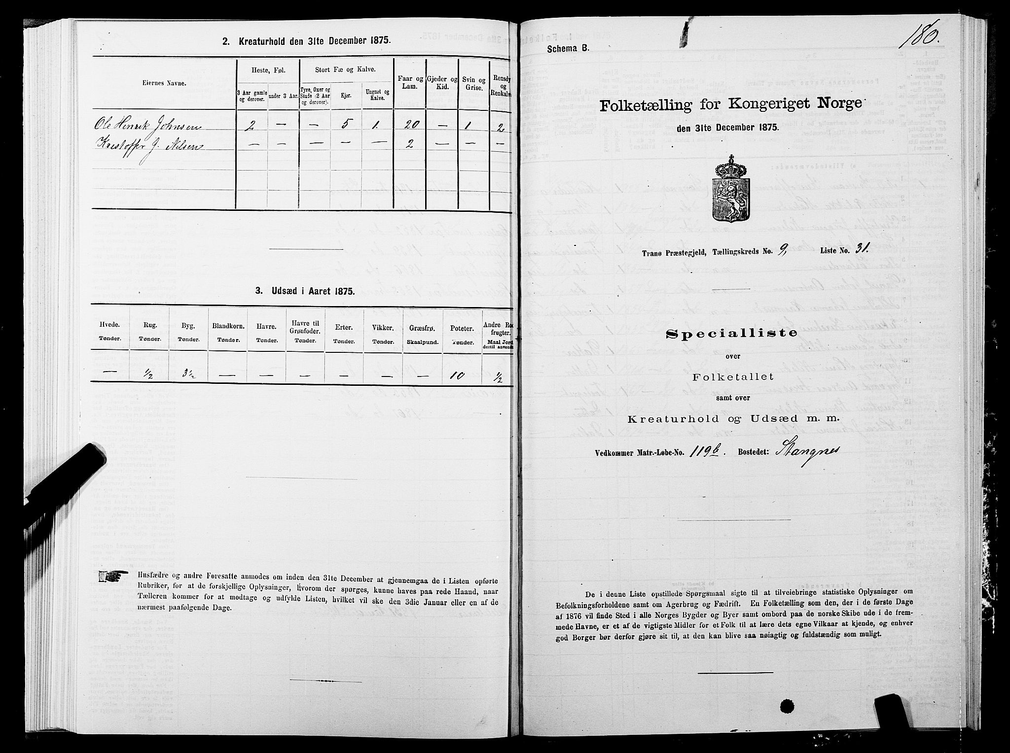 SATØ, Folketelling 1875 for 1927P Tranøy prestegjeld, 1875, s. 4180