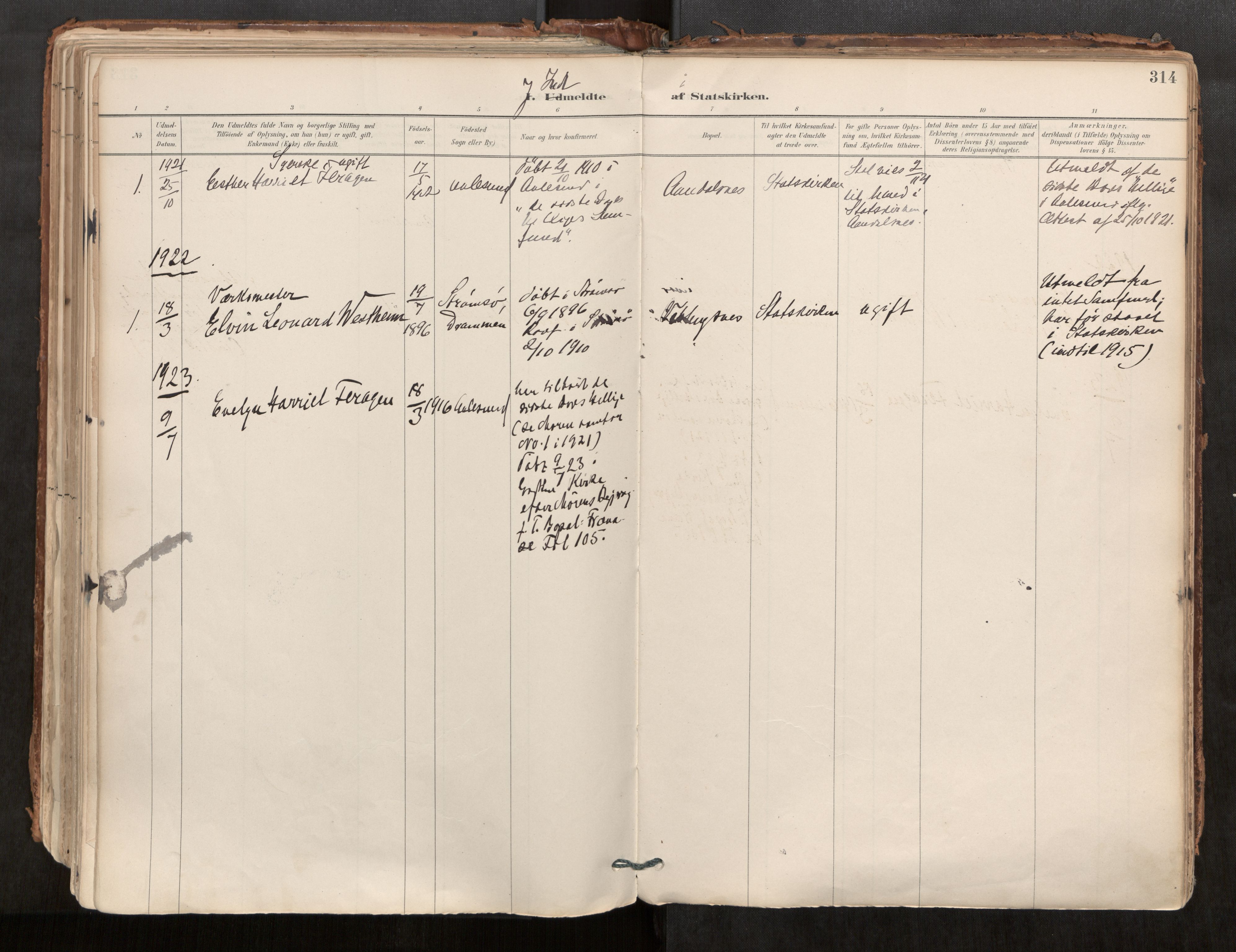 Ministerialprotokoller, klokkerbøker og fødselsregistre - Møre og Romsdal, AV/SAT-A-1454/544/L0585: Ministerialbok nr. 544A06, 1887-1924, s. 314