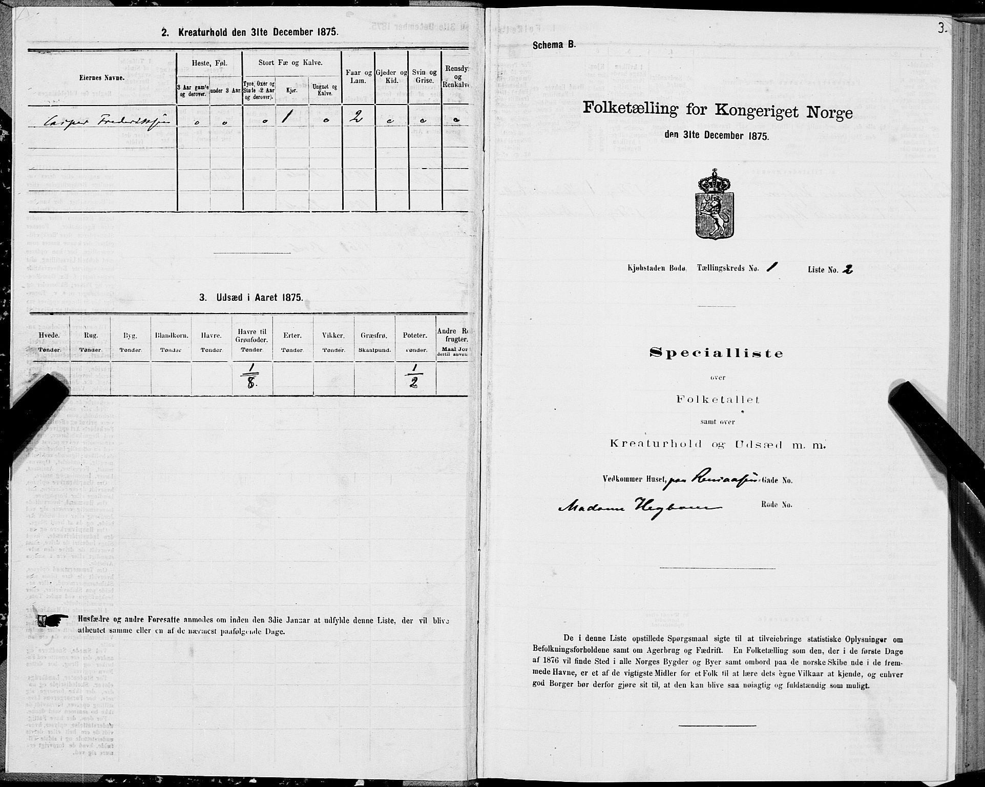 SAT, Folketelling 1875 for 1804B Bodø prestegjeld, Bodø kjøpstad, 1875, s. 3