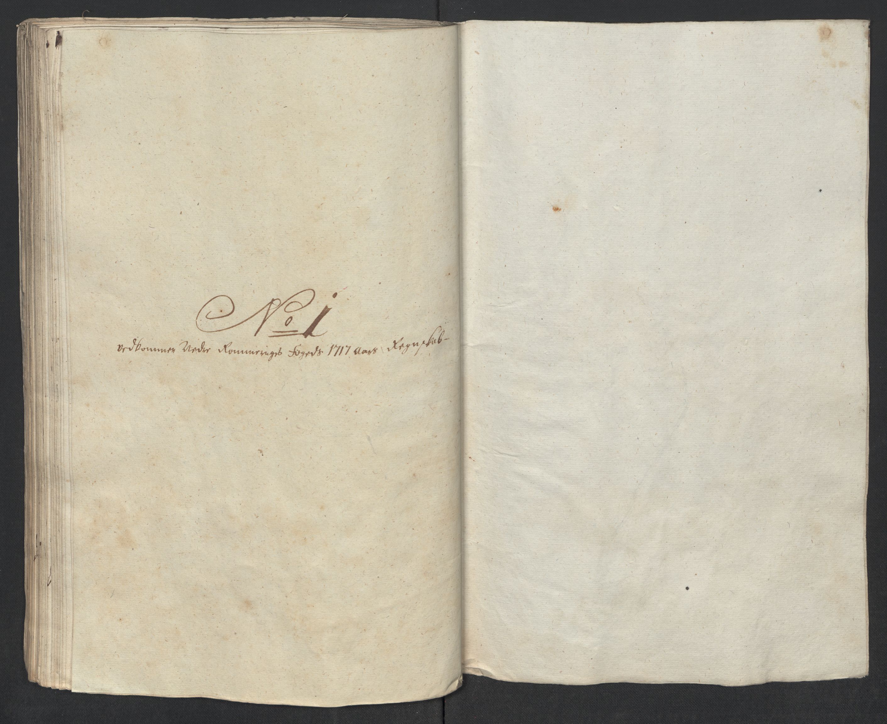 Rentekammeret inntil 1814, Reviderte regnskaper, Fogderegnskap, AV/RA-EA-4092/R11/L0599: Fogderegnskap Nedre Romerike, 1717, s. 89