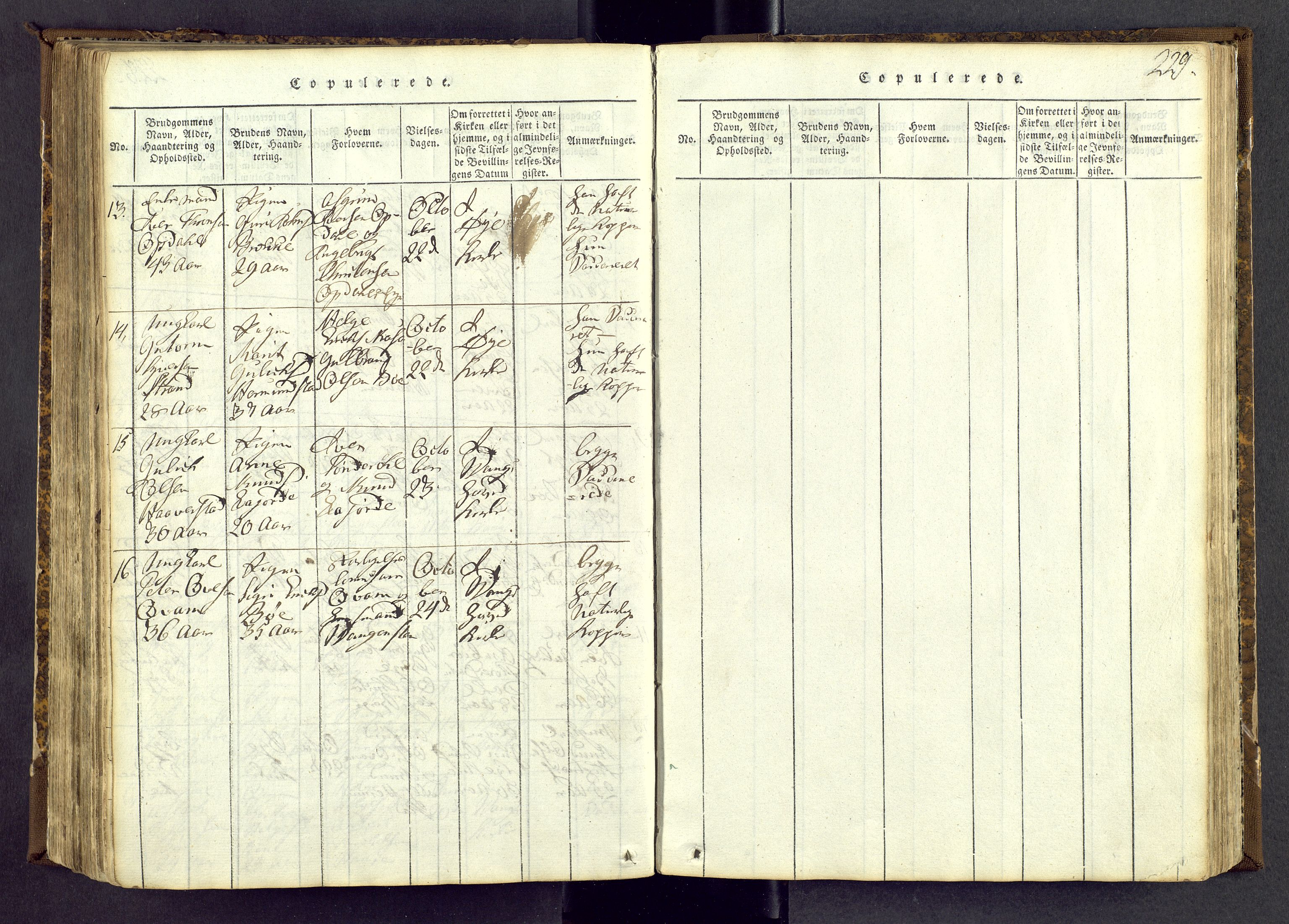 Vang prestekontor, Valdres, AV/SAH-PREST-140/H/Ha/L0004: Ministerialbok nr. 4, 1814-1831, s. 229