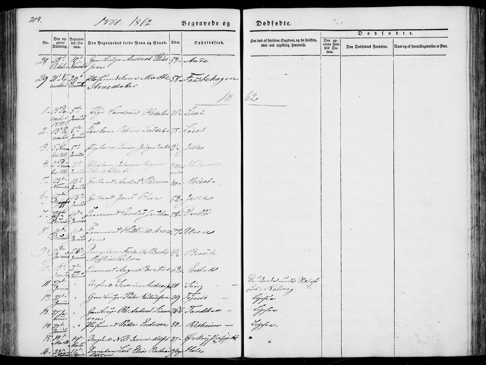 Ministerialprotokoller, klokkerbøker og fødselsregistre - Møre og Romsdal, SAT/A-1454/522/L0313: Ministerialbok nr. 522A08, 1852-1862, s. 213