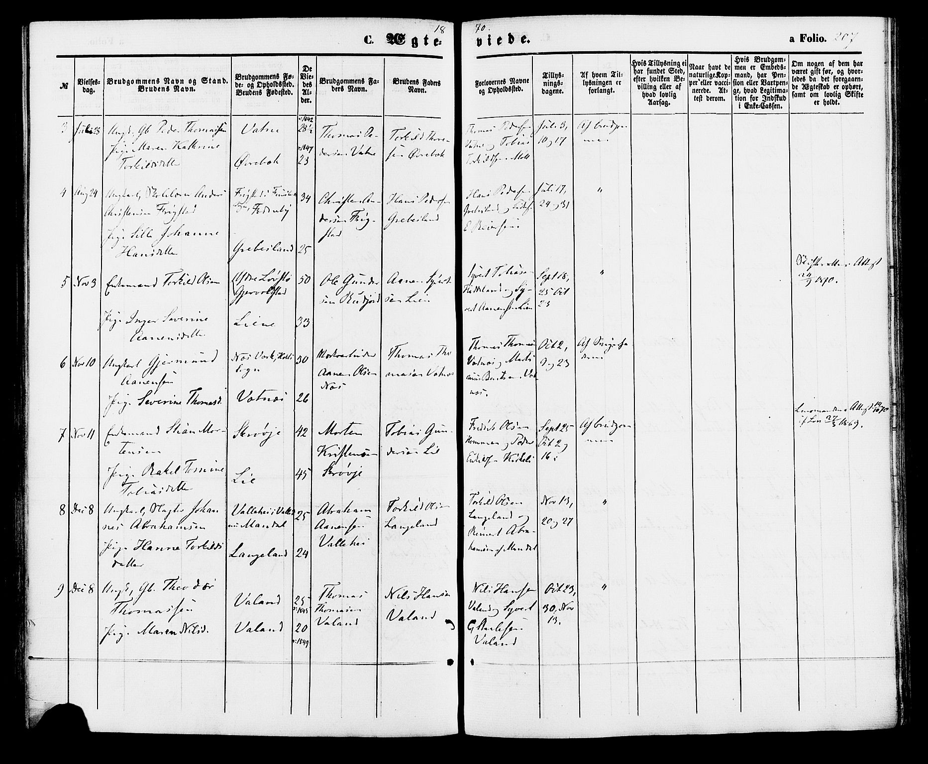 Holum sokneprestkontor, AV/SAK-1111-0022/F/Fa/Faa/L0006: Ministerialbok nr. A 6, 1865-1883, s. 207