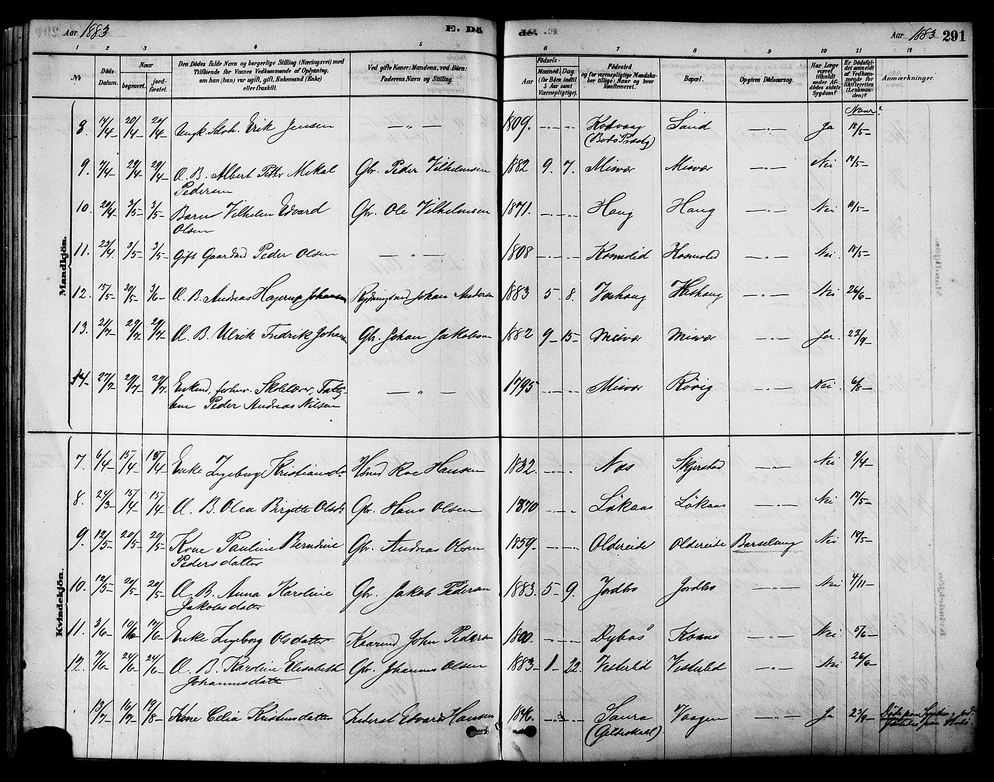 Ministerialprotokoller, klokkerbøker og fødselsregistre - Nordland, SAT/A-1459/852/L0740: Ministerialbok nr. 852A10, 1878-1894, s. 291