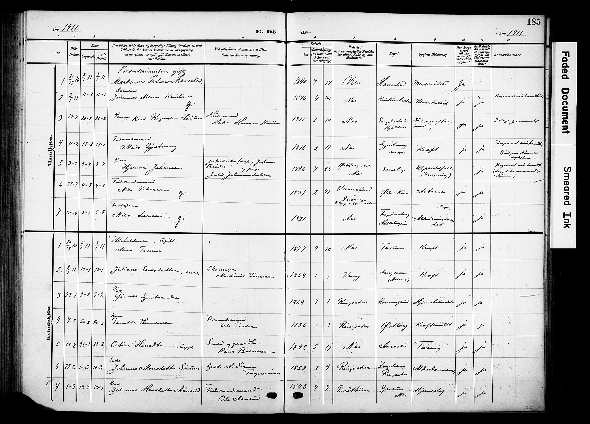 Nes prestekontor, Hedmark, AV/SAH-PREST-020/K/Ka/L0013: Ministerialbok nr. 13, 1906-1924, s. 185