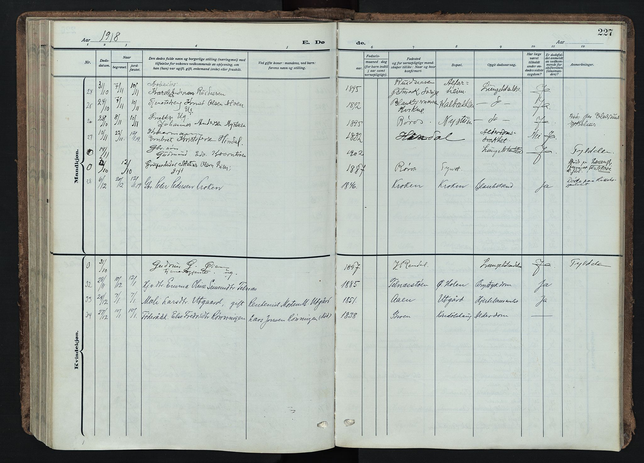 Tynset prestekontor, SAH/PREST-058/H/Ha/Haa/L0026: Ministerialbok nr. 26, 1915-1929, s. 227