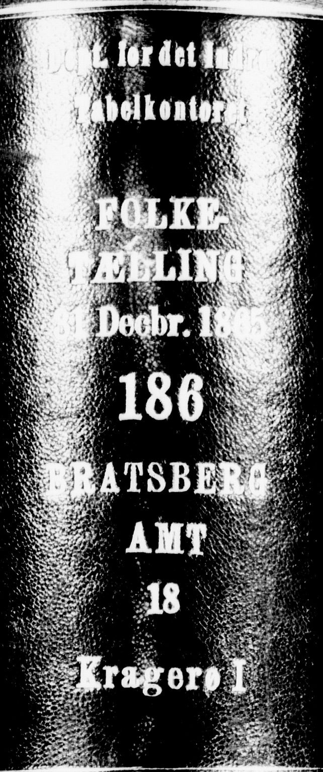RA, Folketelling 1865 for 0801B Kragerø prestegjeld, Kragerø kjøpstad, 1865, s. 2