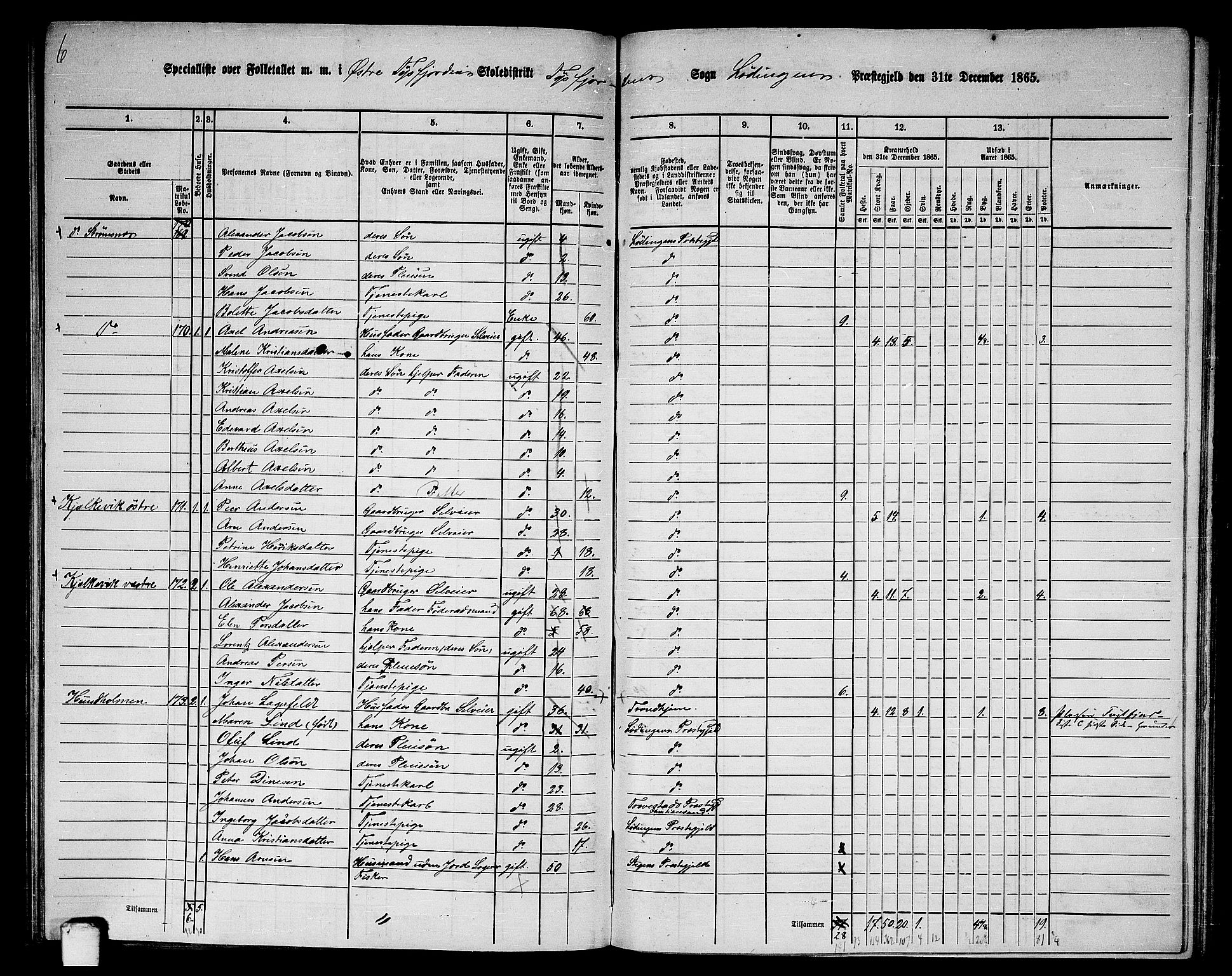 RA, Folketelling 1865 for 1851P Lødingen prestegjeld, 1865, s. 111