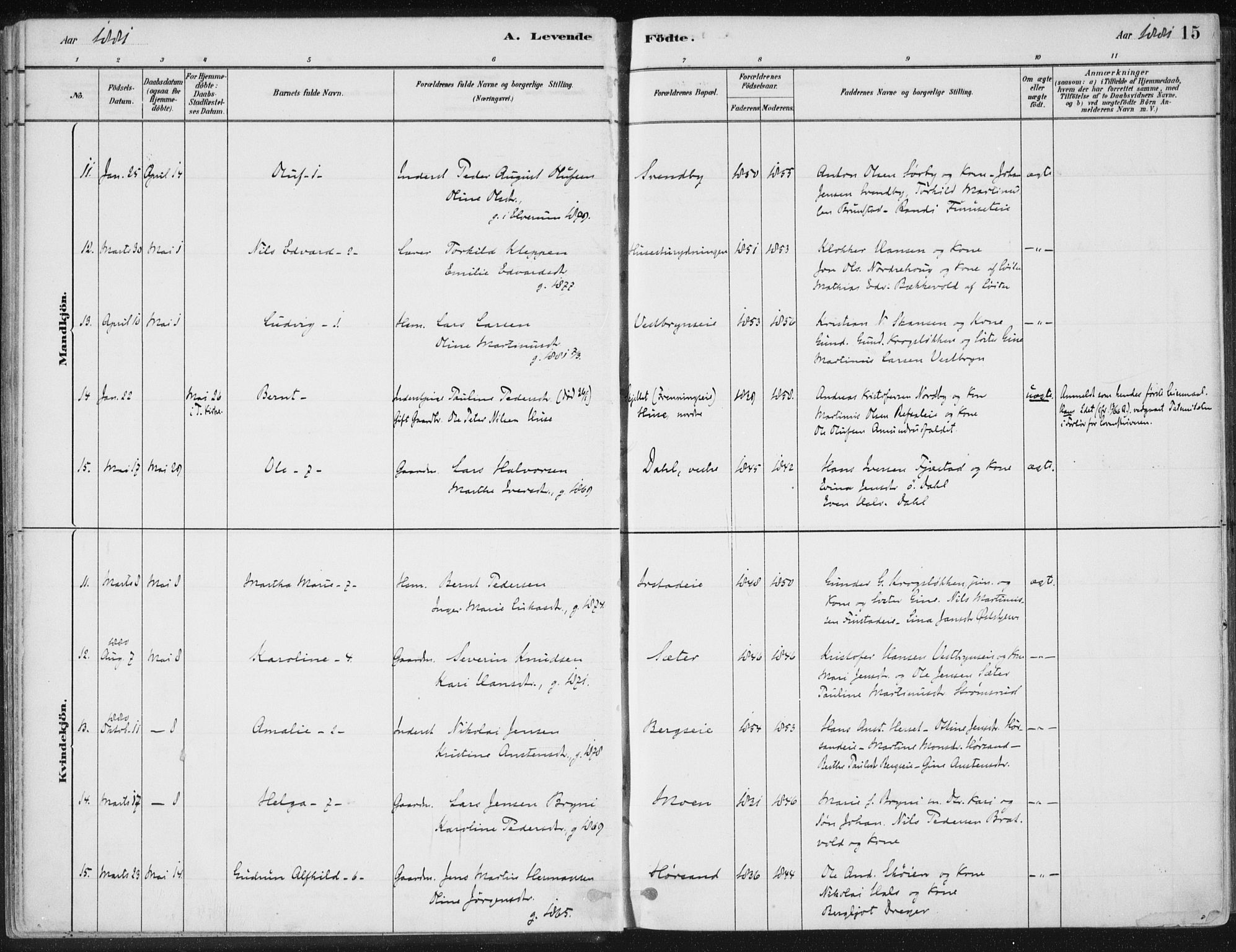 Romedal prestekontor, AV/SAH-PREST-004/K/L0010: Ministerialbok nr. 10, 1880-1895, s. 15