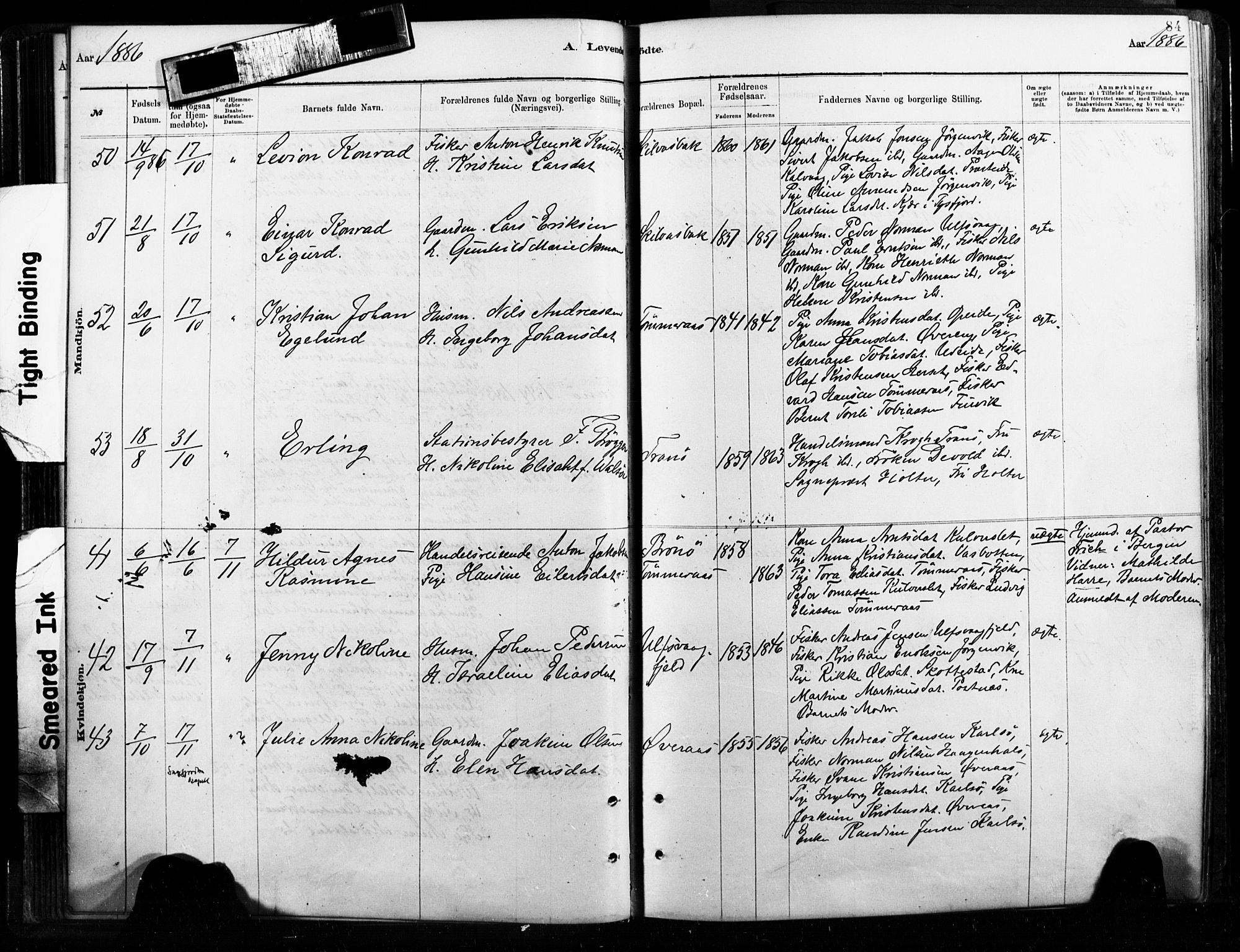 Ministerialprotokoller, klokkerbøker og fødselsregistre - Nordland, AV/SAT-A-1459/859/L0846: Ministerialbok nr. 859A06, 1878-1889, s. 84