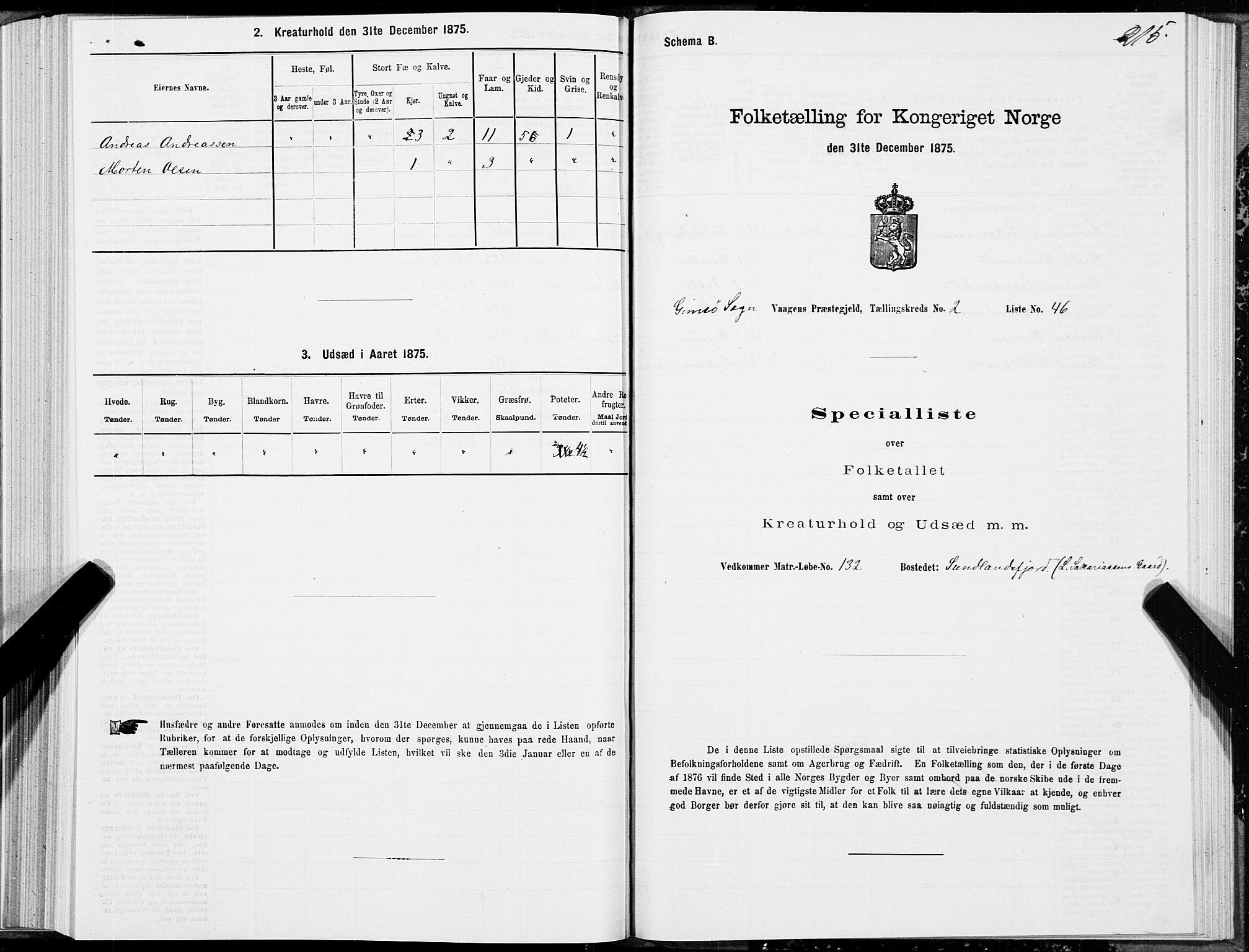 SAT, Folketelling 1875 for 1865P Vågan prestegjeld, 1875, s. 5215