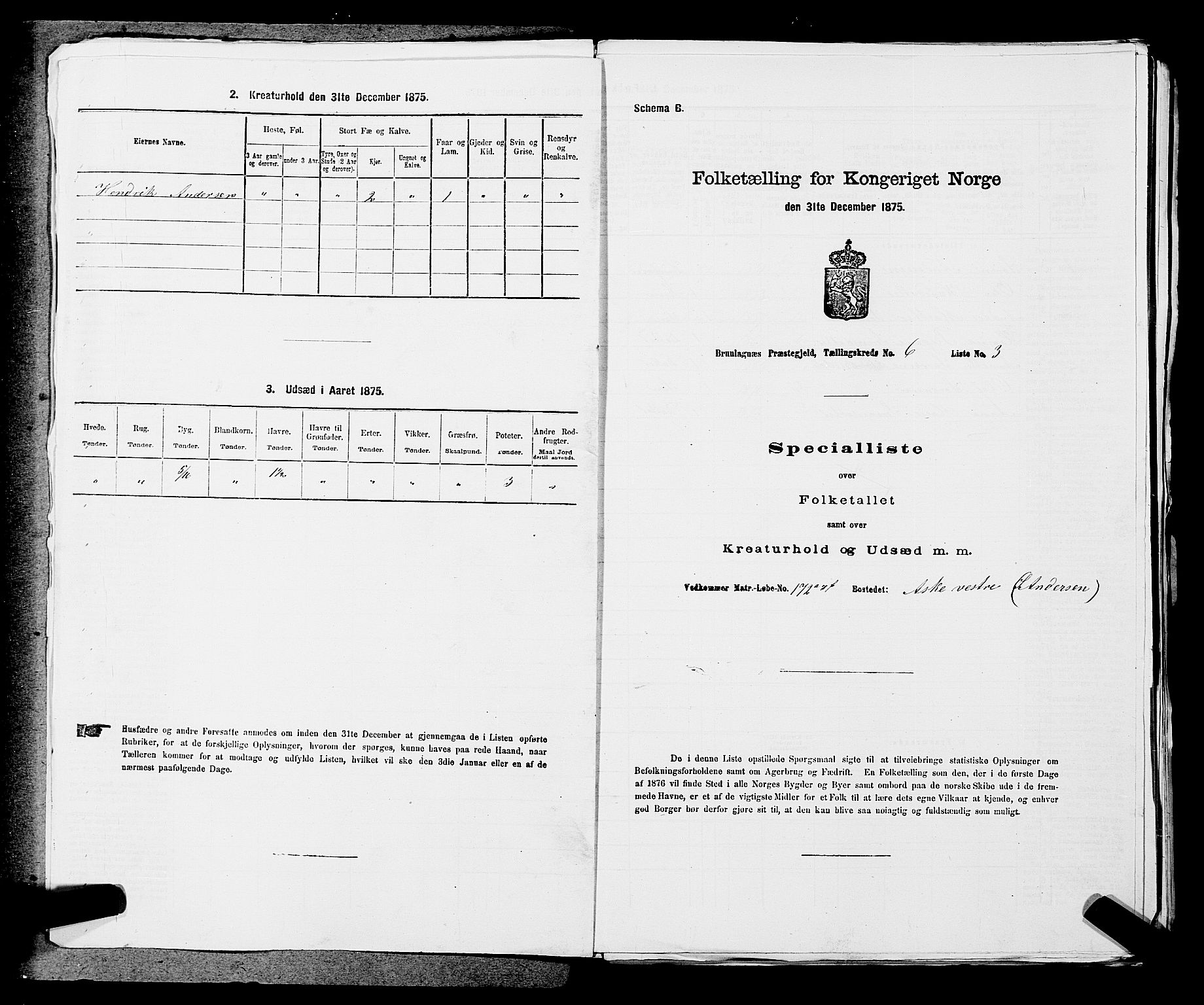 SAKO, Folketelling 1875 for 0726P Brunlanes prestegjeld, 1875, s. 685