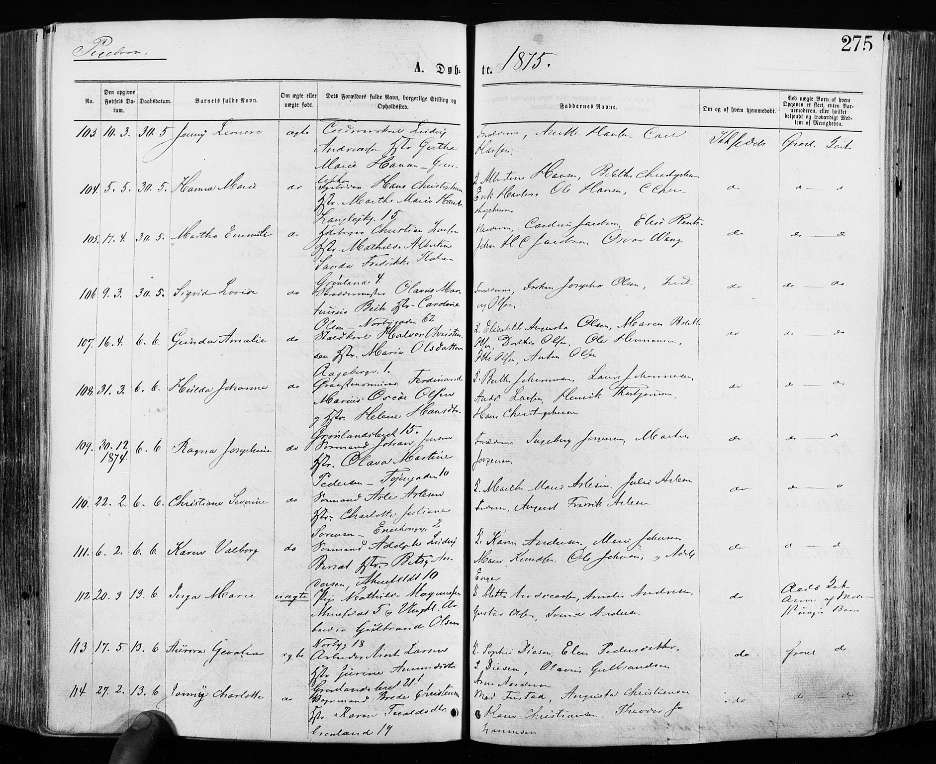 Grønland prestekontor Kirkebøker, SAO/A-10848/F/Fa/L0004: Ministerialbok nr. 4, 1869-1880, s. 275