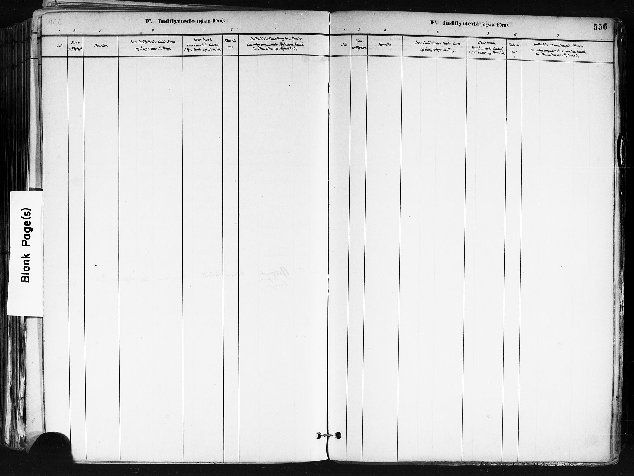 Nes prestekontor Kirkebøker, AV/SAO-A-10410/F/Fa/L0010: Ministerialbok nr. I 10, 1883-1898, s. 556